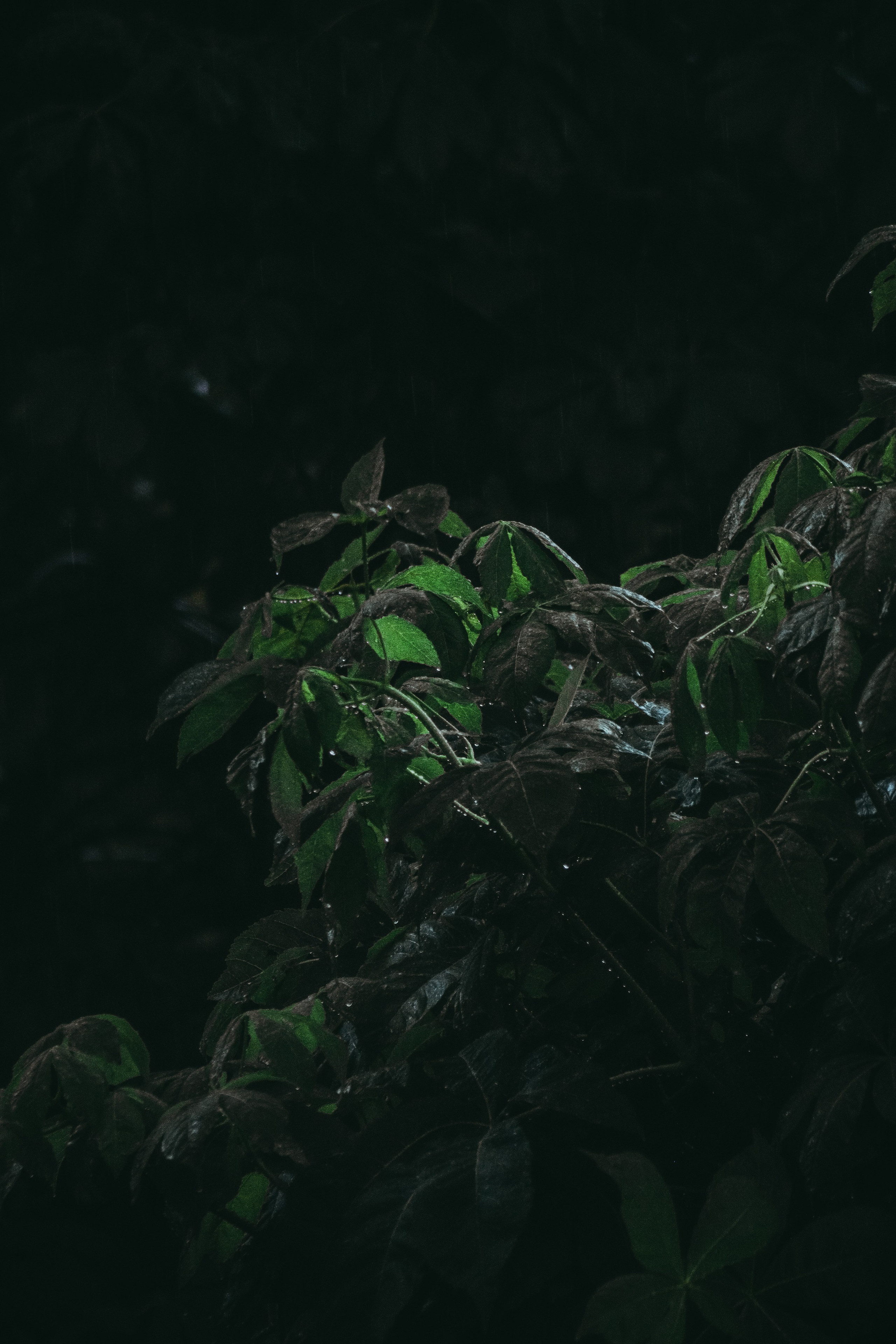 Т Е П Л Ы Й — З Е Л Е Н Ы Й. — Digital Noise —