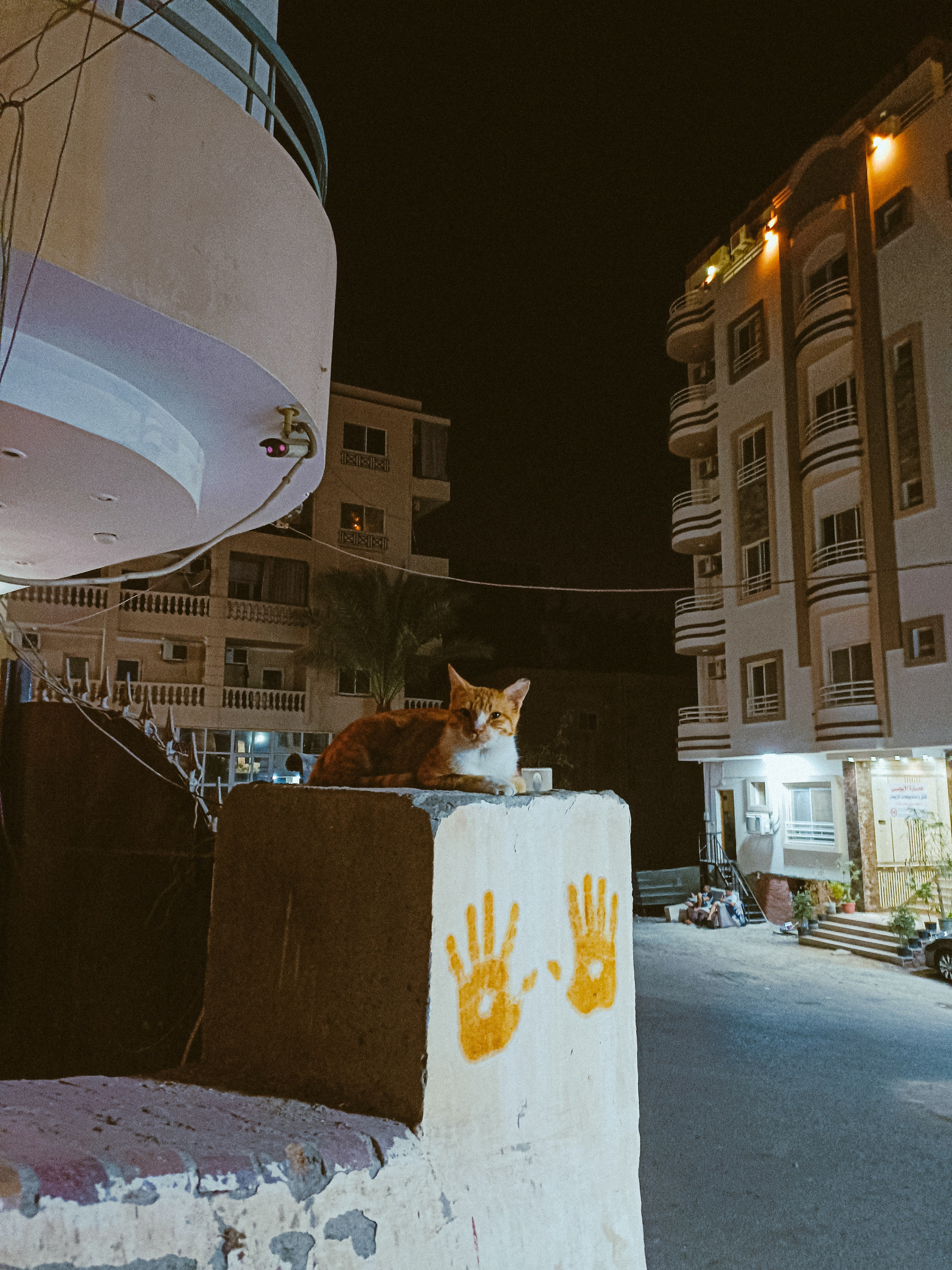 Мобильная. Jorgis — фотограф в Хургаде / обучение фотографии