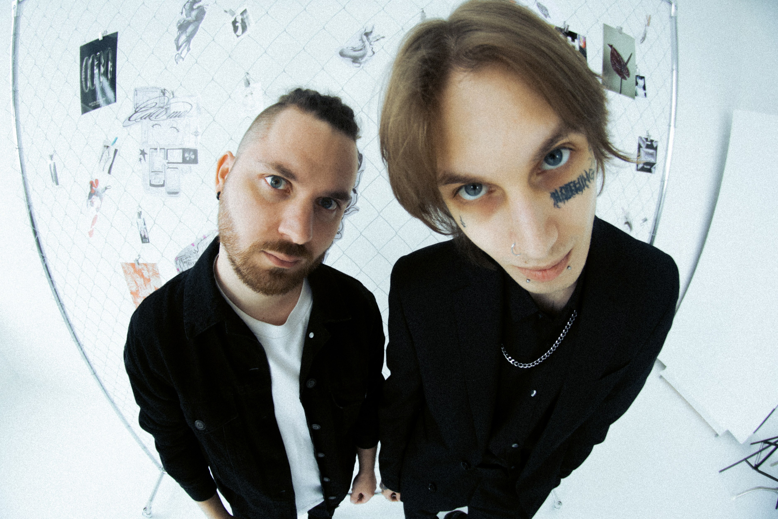 Bobo. Фотограф Мурманск | Нижний Новгород • Анна Хижняк