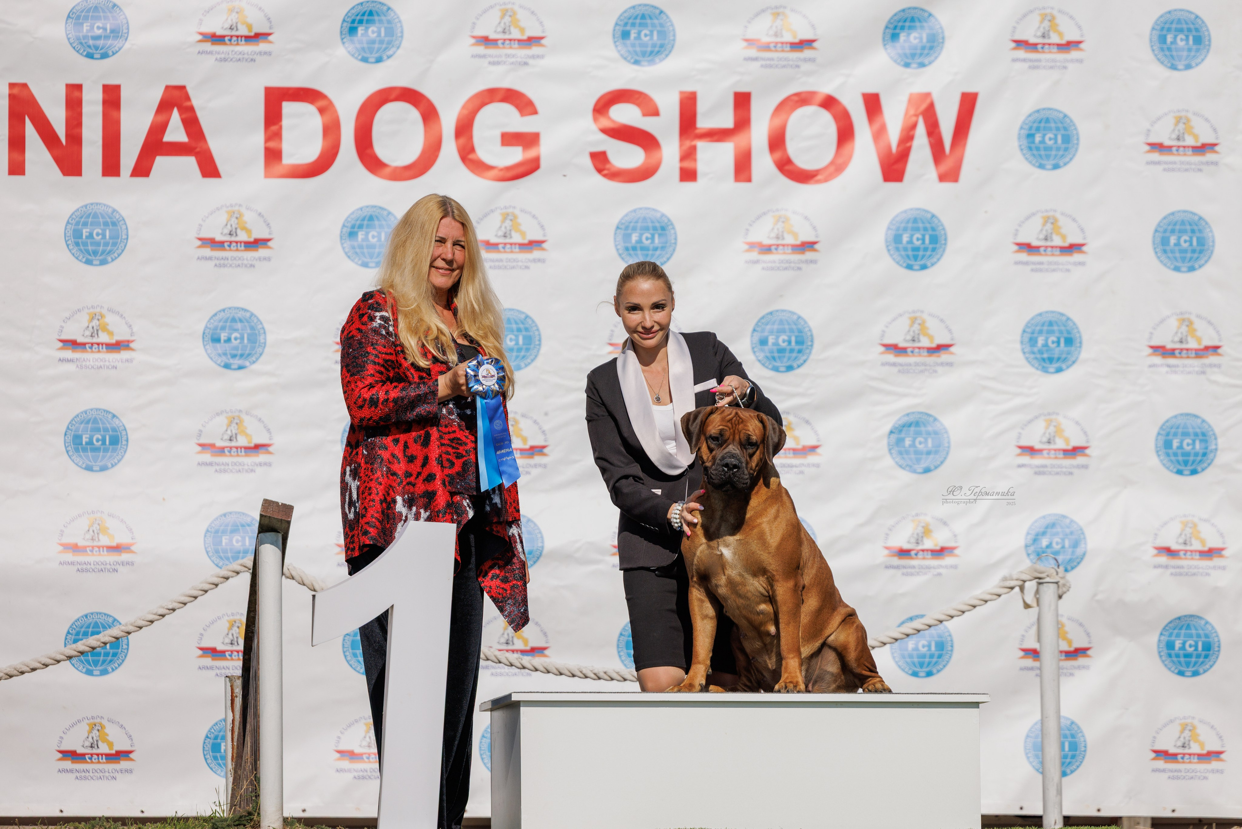 Ереван 14-16.10.2025. Фотограф-анималист Юлия Германика