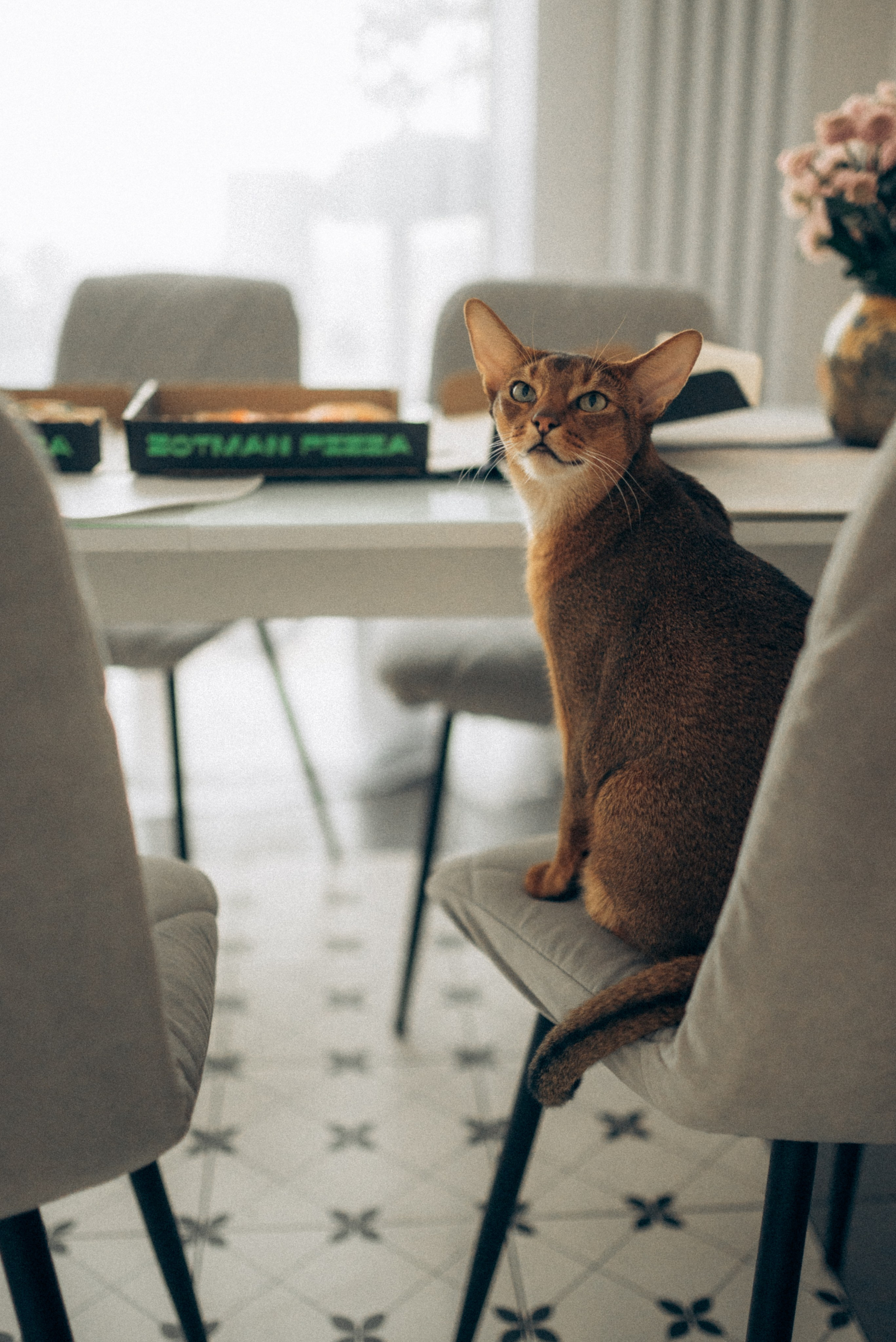Аня и Денис. Семейный и детский фотограф в Щелково Алена Дробот