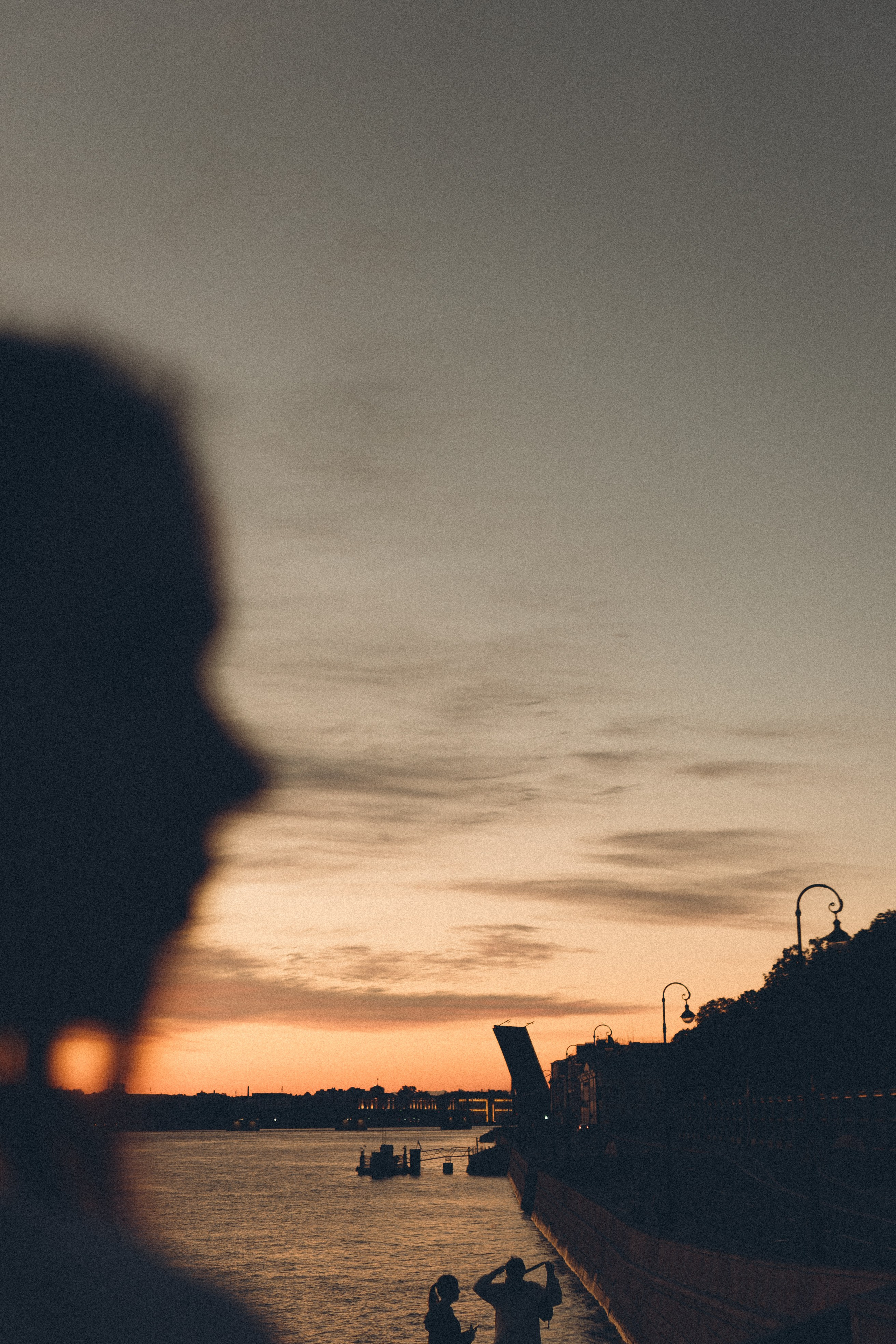 РАССВЕТ С РАЗВОДНЫМИ МОСТАМИ. Профессиональный фотограф, Санкт-Петербург — Виктория Богомолова