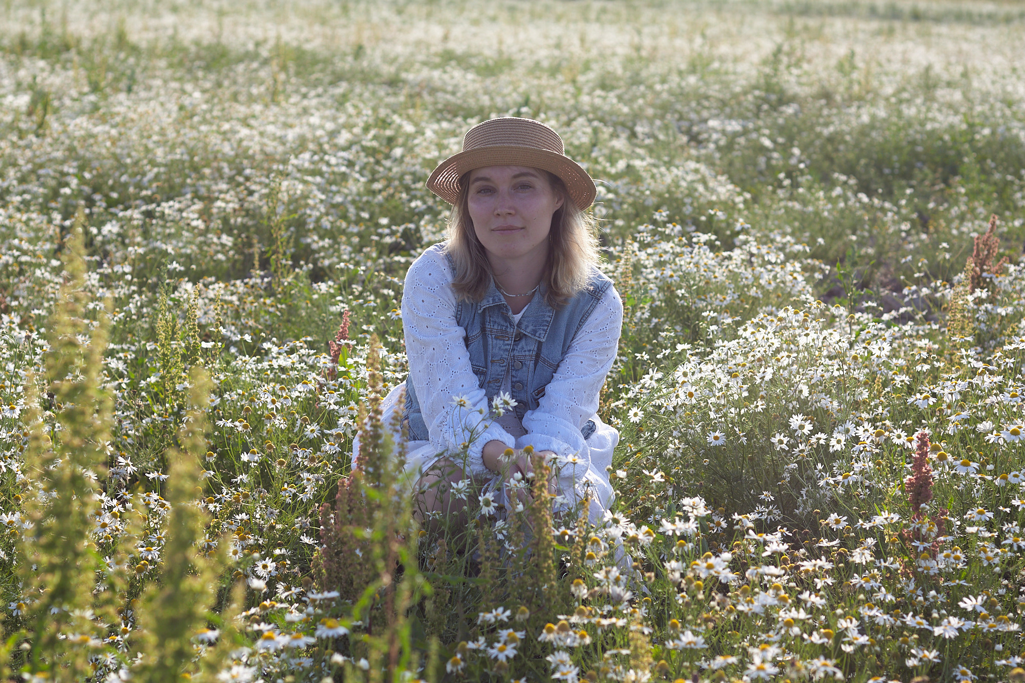 Ромашки. Фотограф в Санкт-Петербурге Надежда Гордюшина