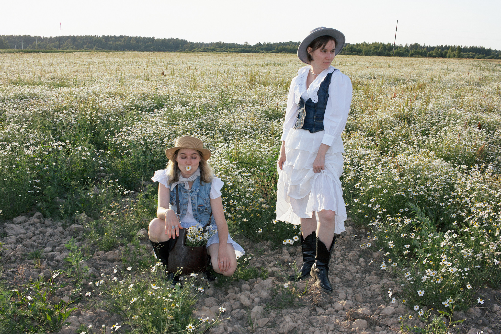 Ромашки. Фотограф в Санкт-Петербурге Надежда Гордюшина