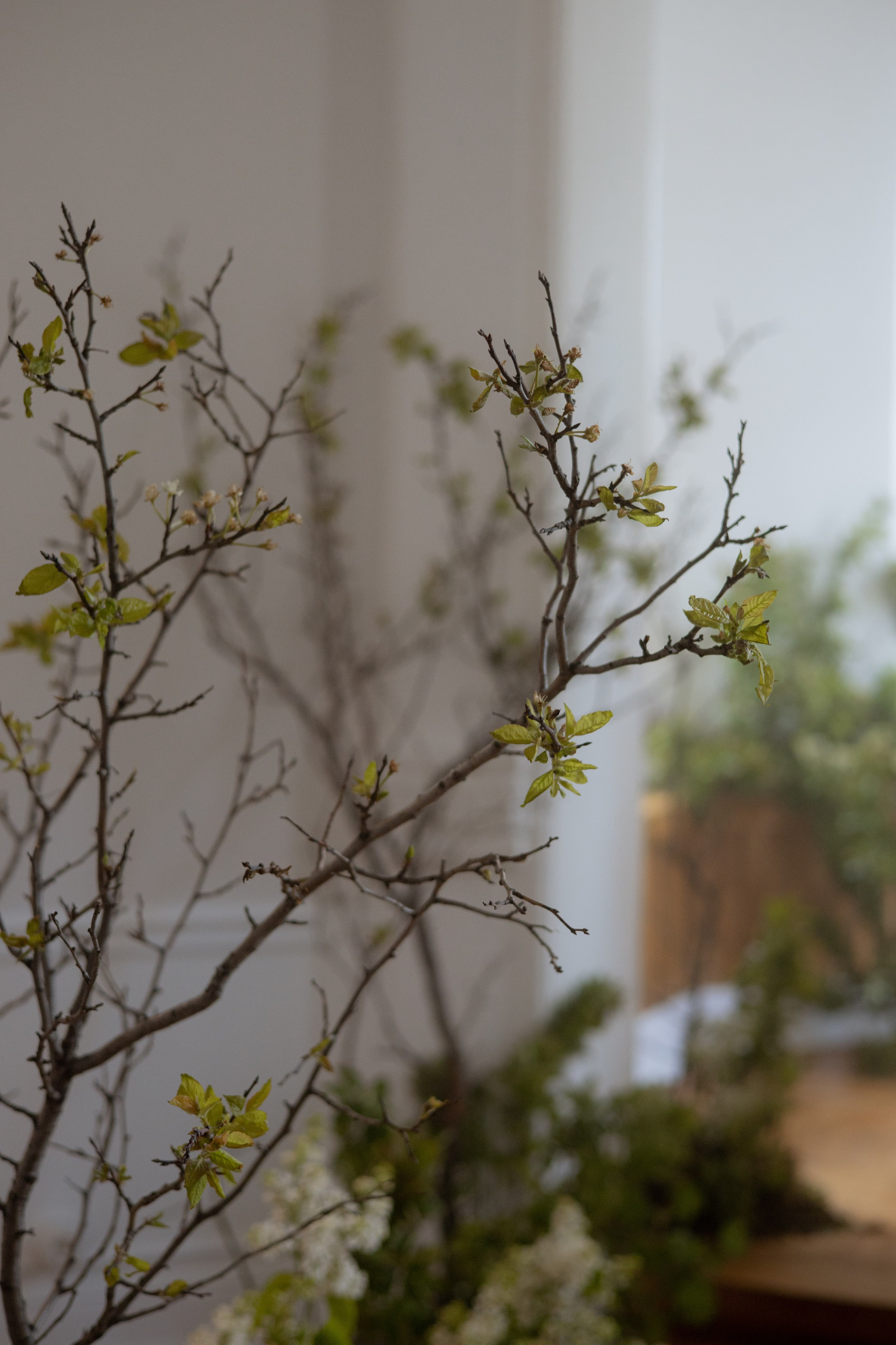 Утро Есении. Оформление свадеб, декор свадеб Вера Маркова, Москва