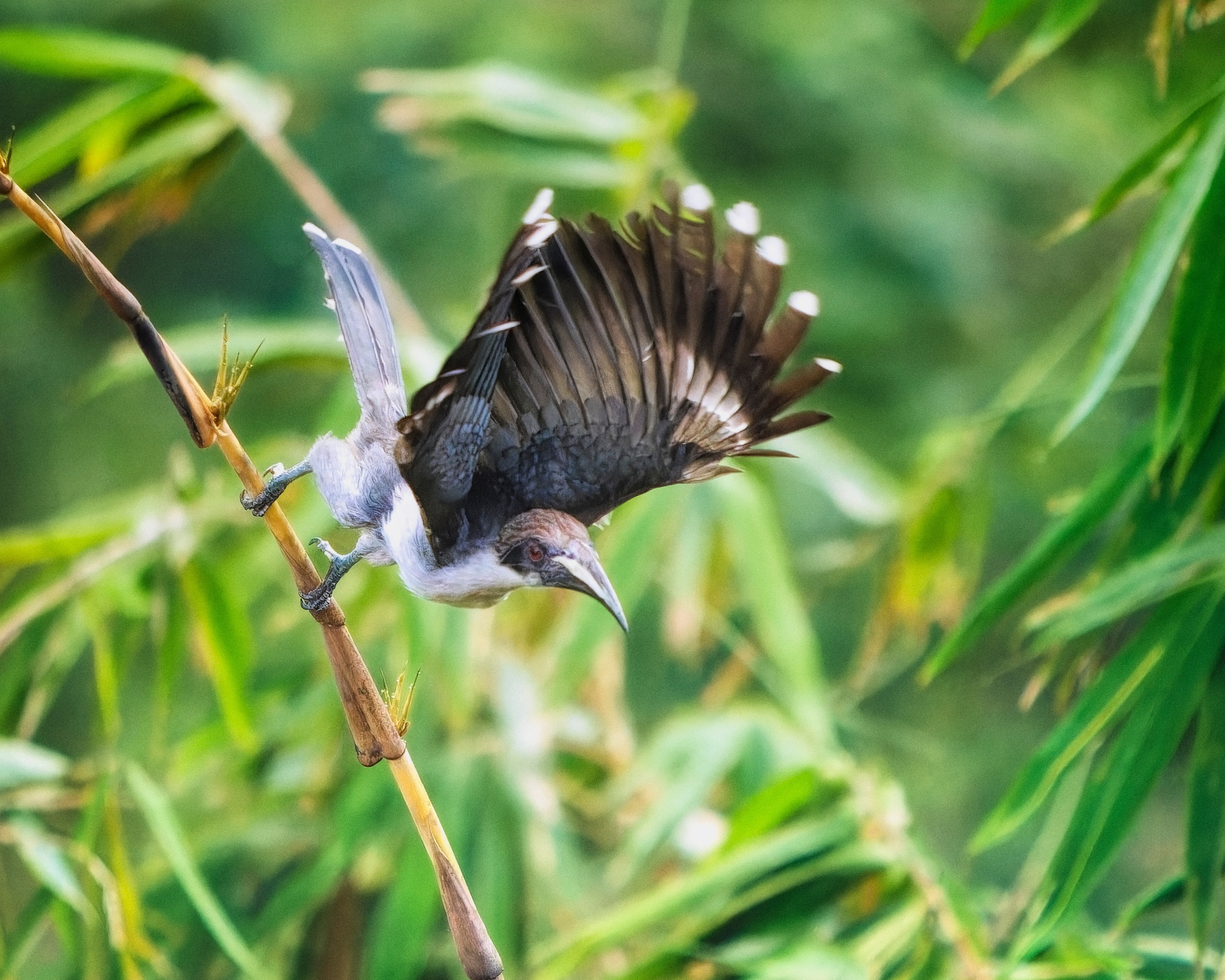 ПРИРОДА. Слепки времени. Фотографии природы и событий. Москва. Сергей Аллагулов
