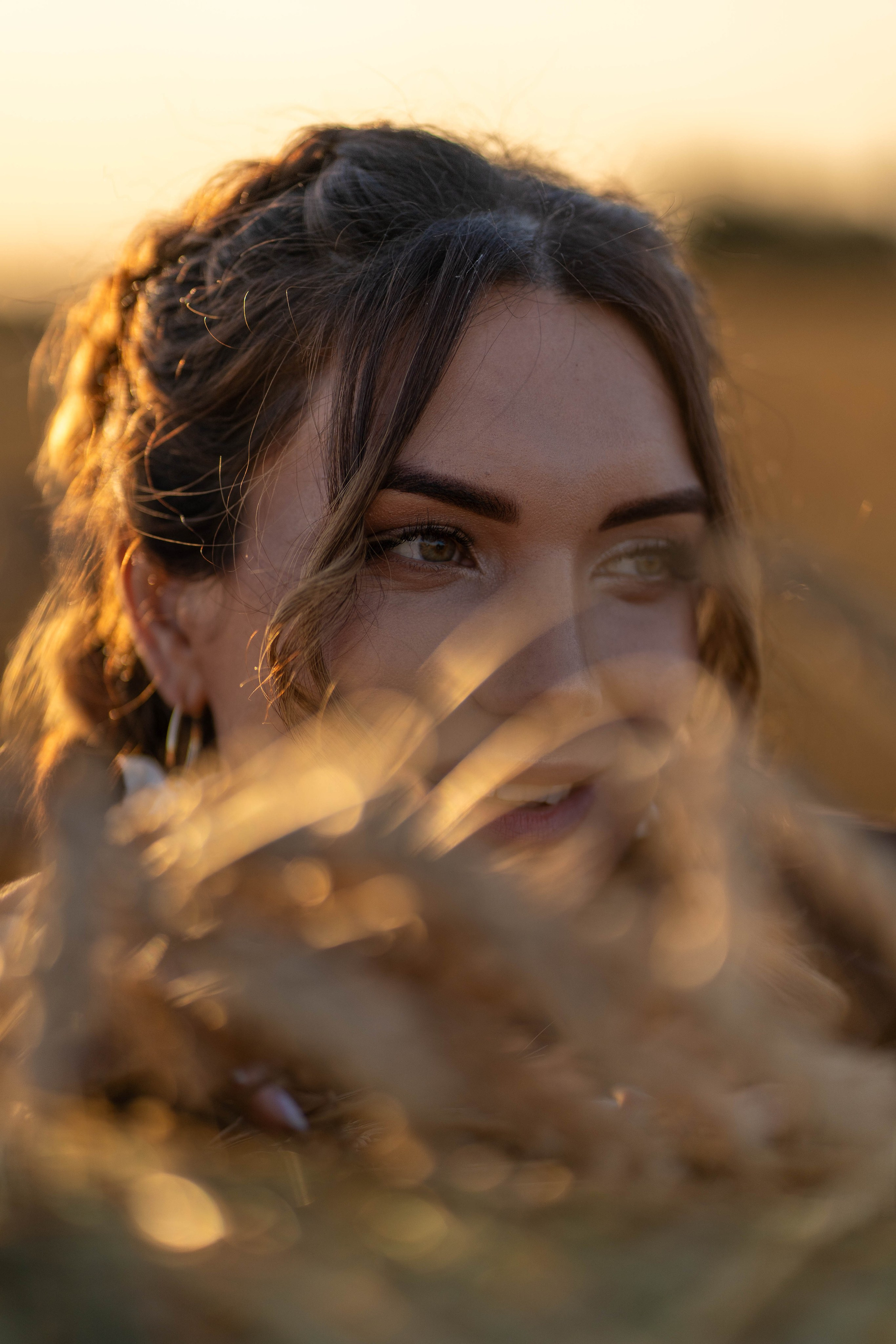 Пшеничные поля. Главная