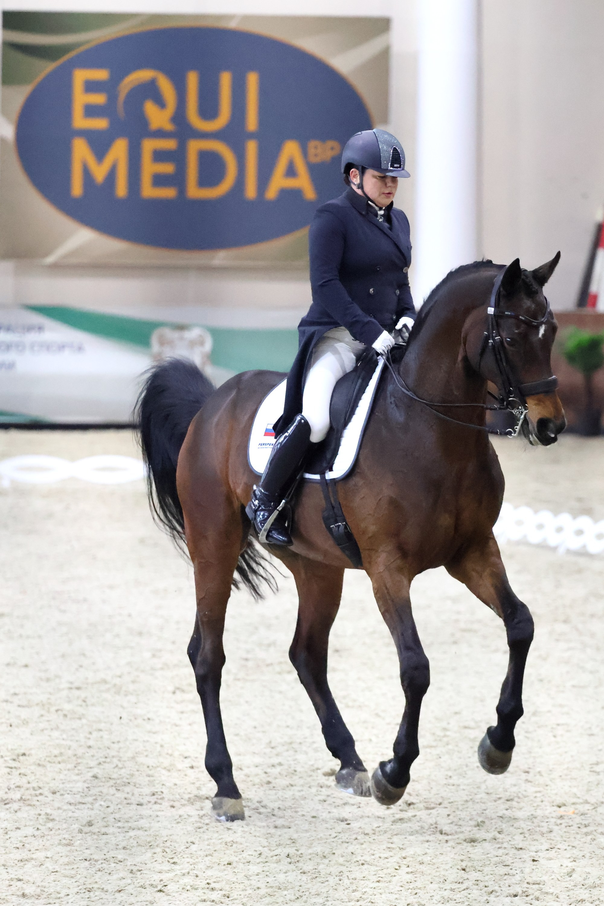 Соревнования по выездке КСК «Виват, Россия!». Спортивный и репортажный фотограф Ермакова Светлана