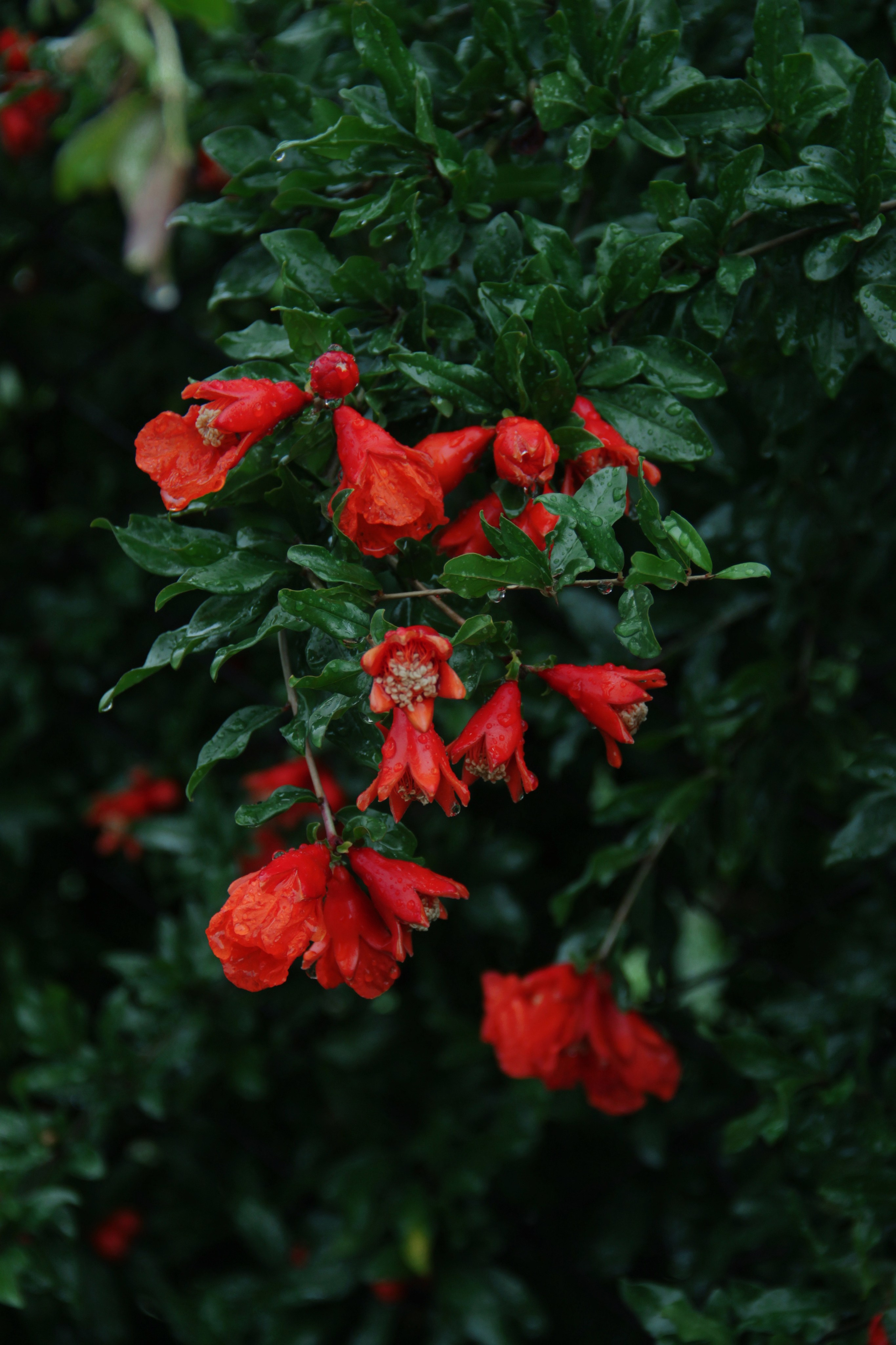 Крым. Фотограф и видеограф в Санкт-Петербурге
