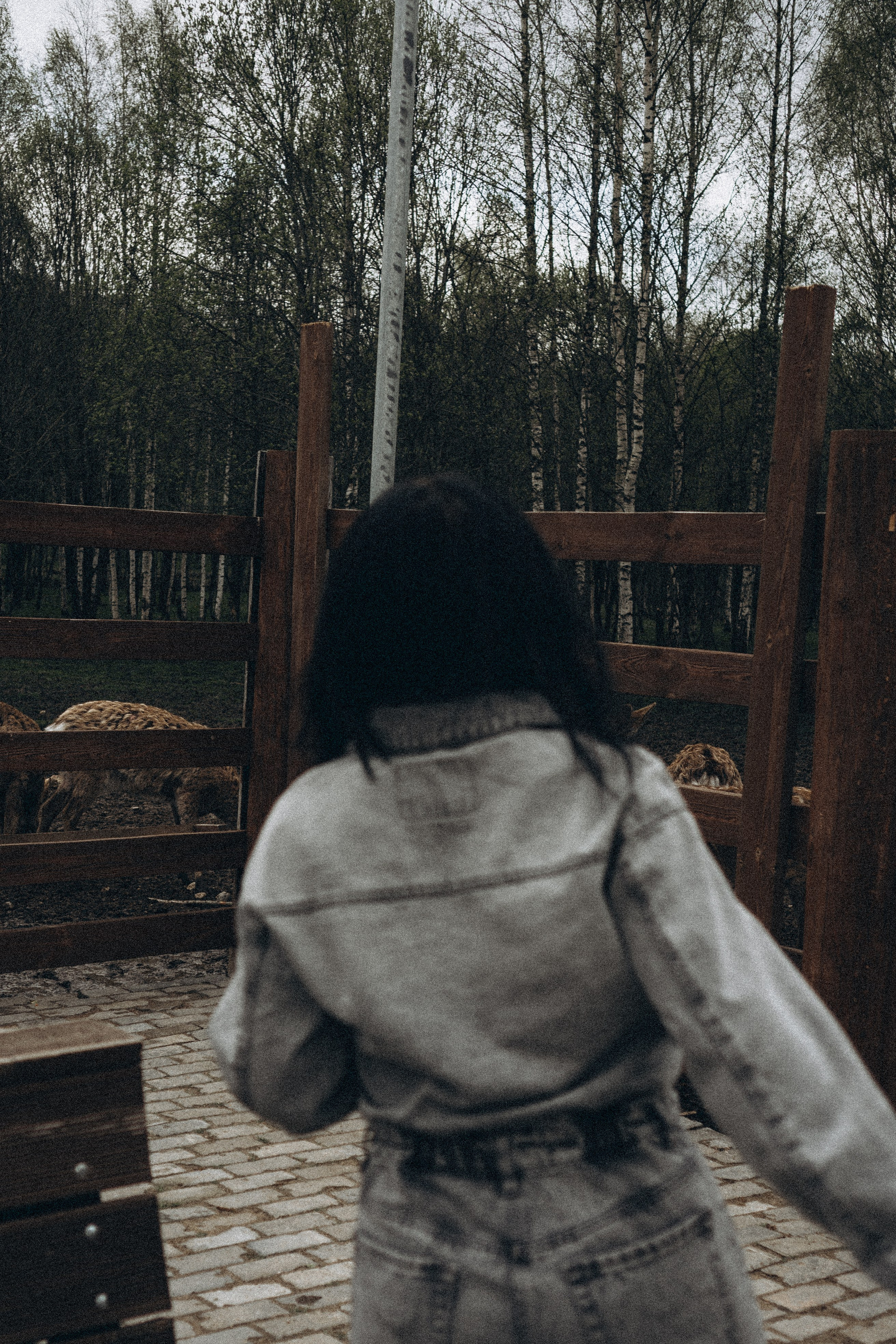 ОЛЕНЬЯ ФЕРМА В ТВЕРИ. Профессиональный фотограф, Санкт-Петербург — Виктория Богомолова