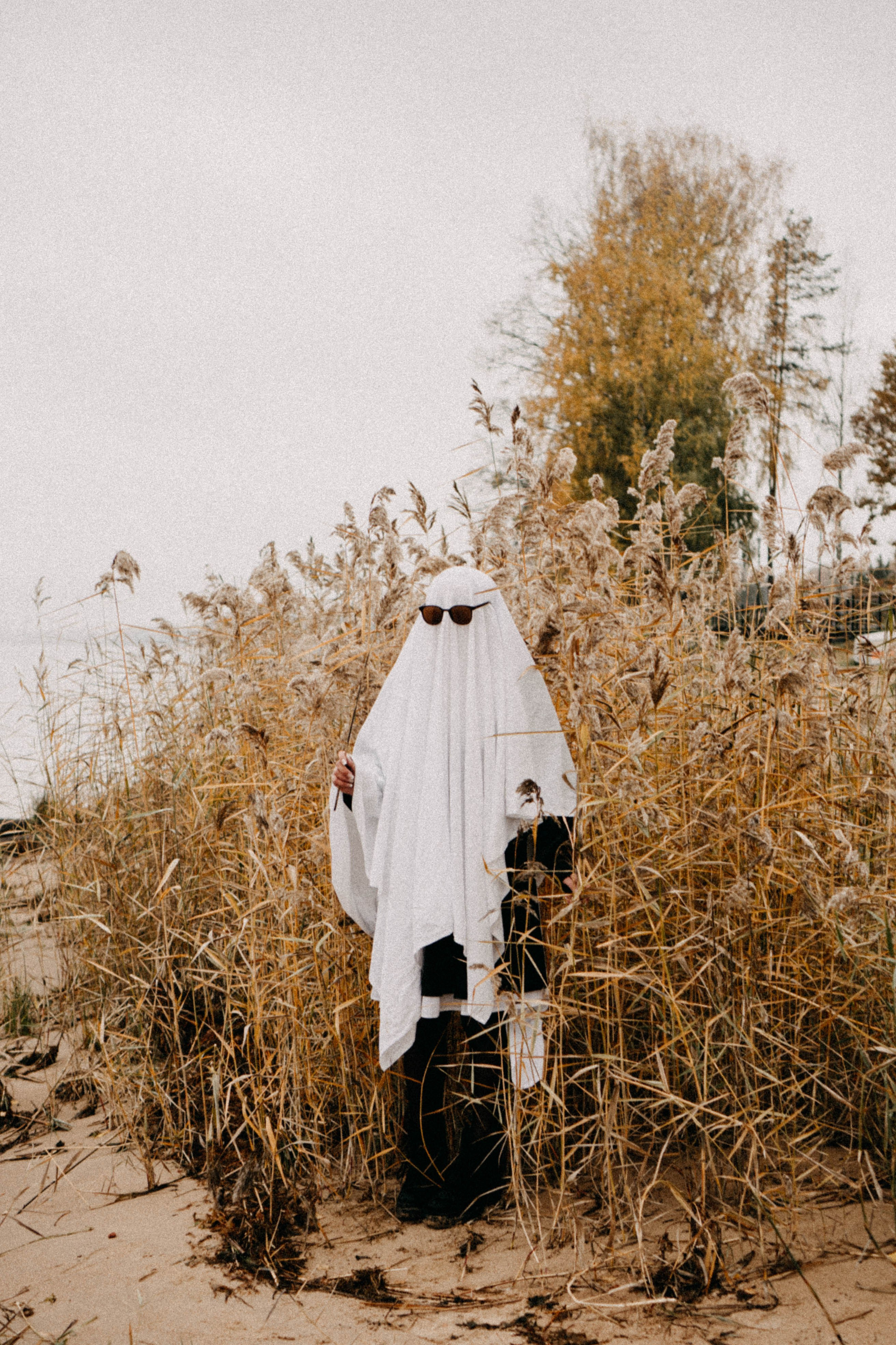 Осеняя. Профессиональный фотограф, Санкт-Петербург — Виктория Богомолова