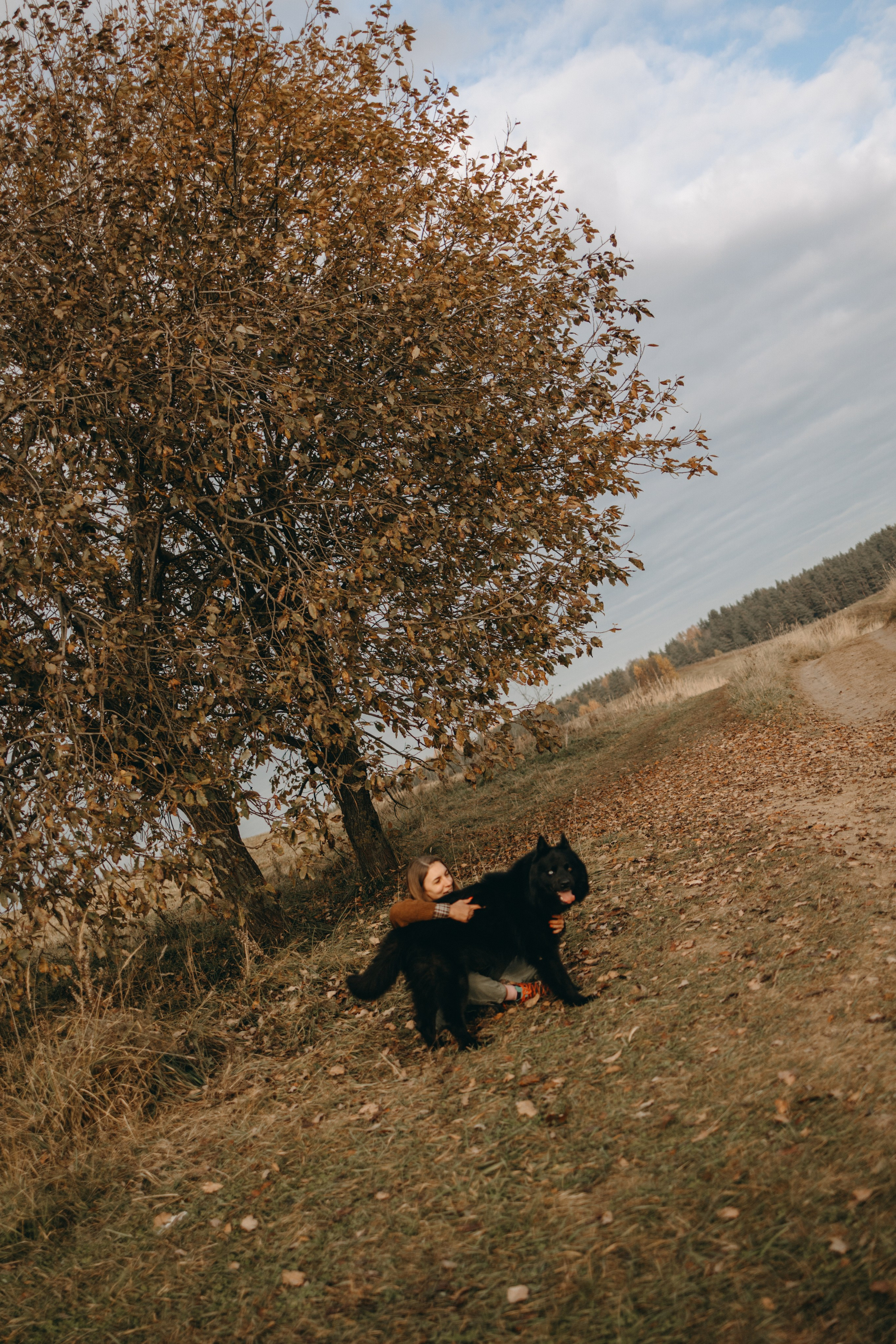 Лора и Джанго. Фотограф — Анималист | Санкт-Петербург