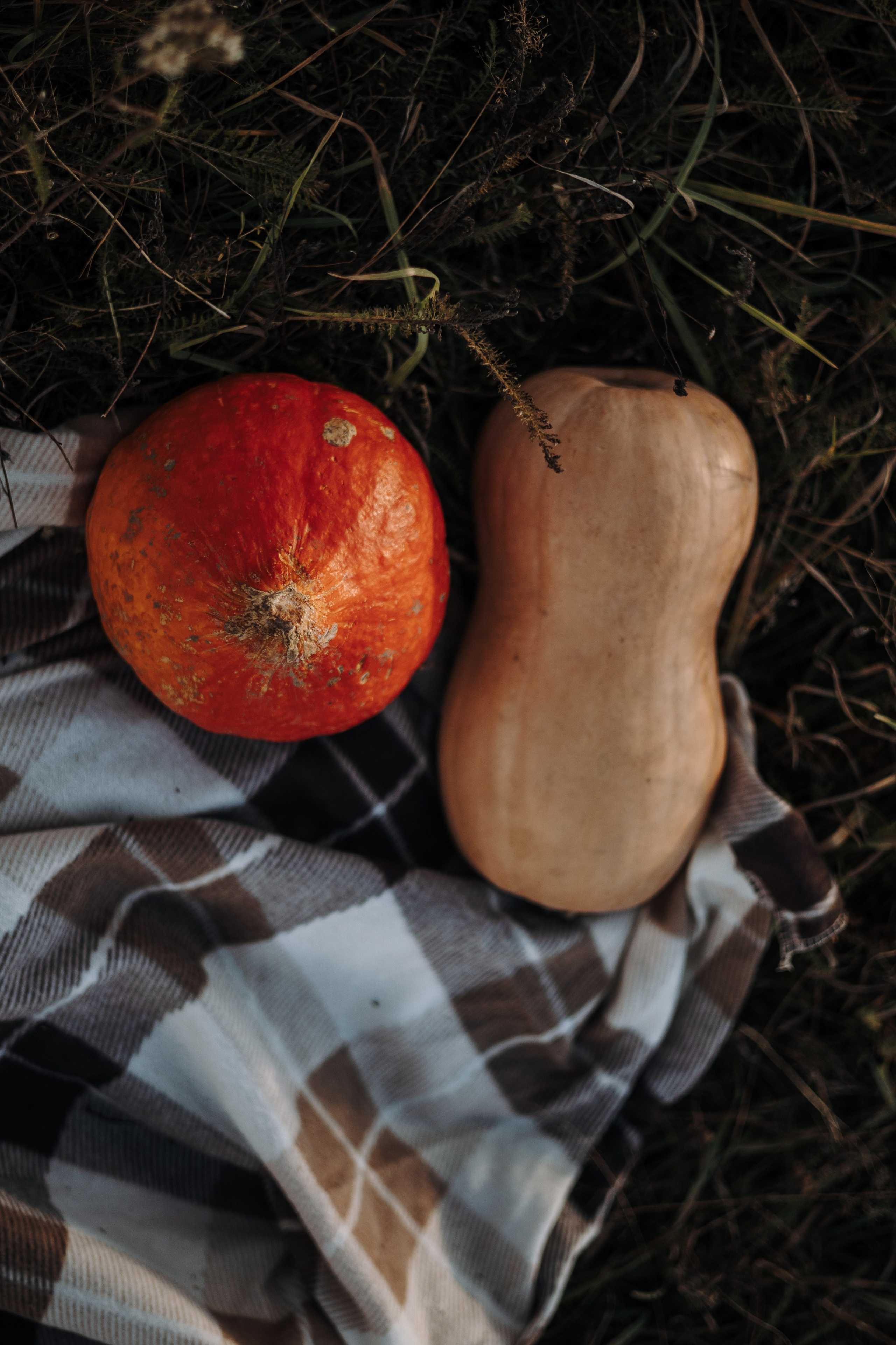 Оуджи и его семья. Фотограф — Анималист | Санкт-Петербург