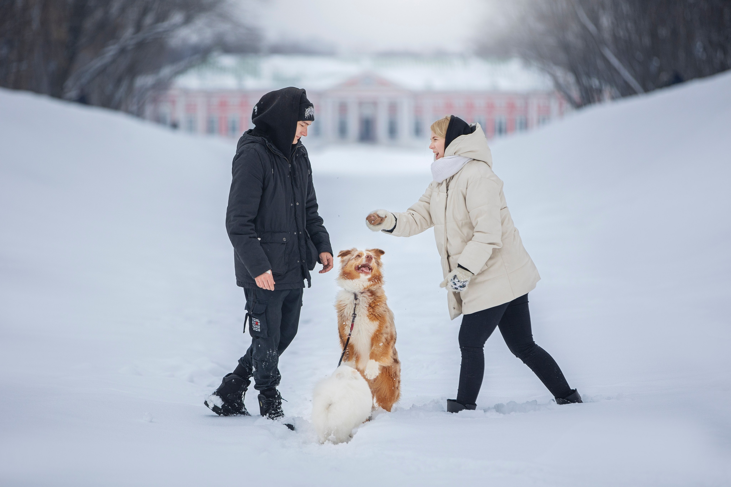 Настя, Игорь, Тесс и Марс. Фотограф анималист в Москве Майорова Евгения