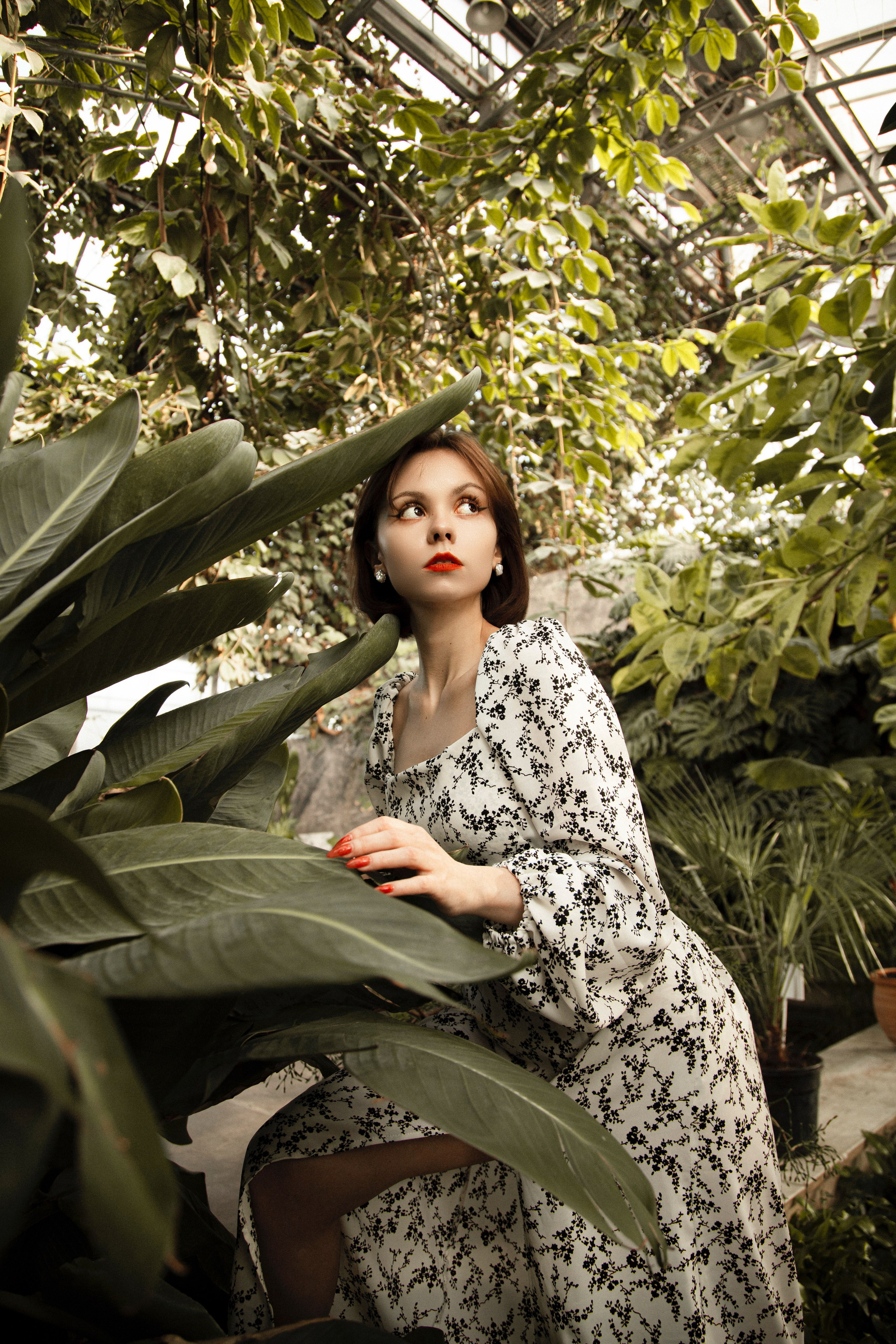 Оранжерея Таврического сада