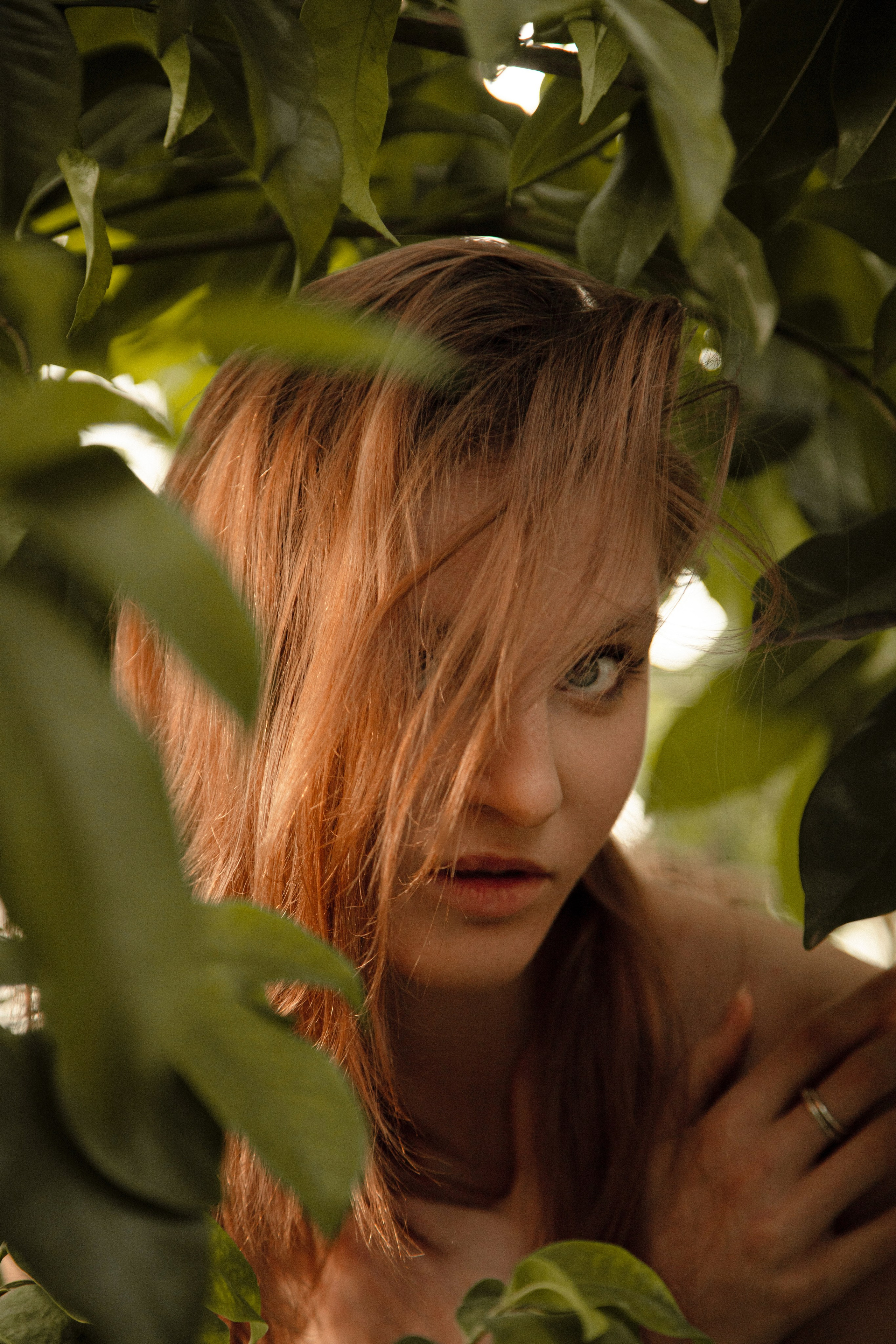 Оранжерея Таврического сада