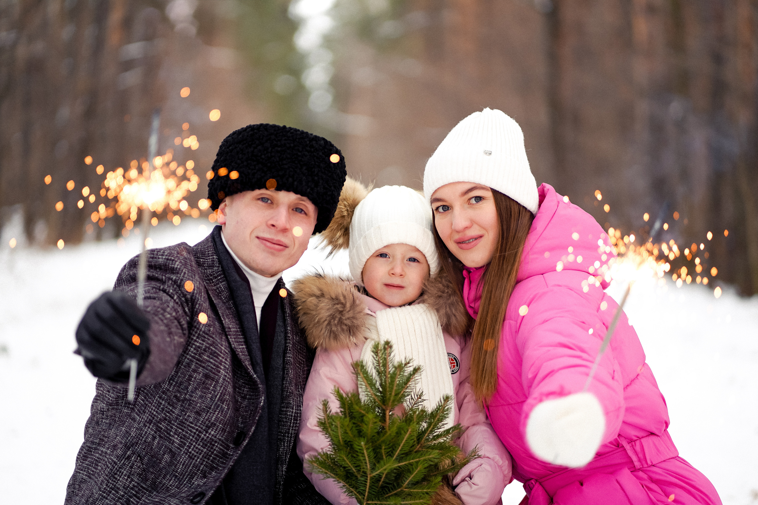 Сосновый бор