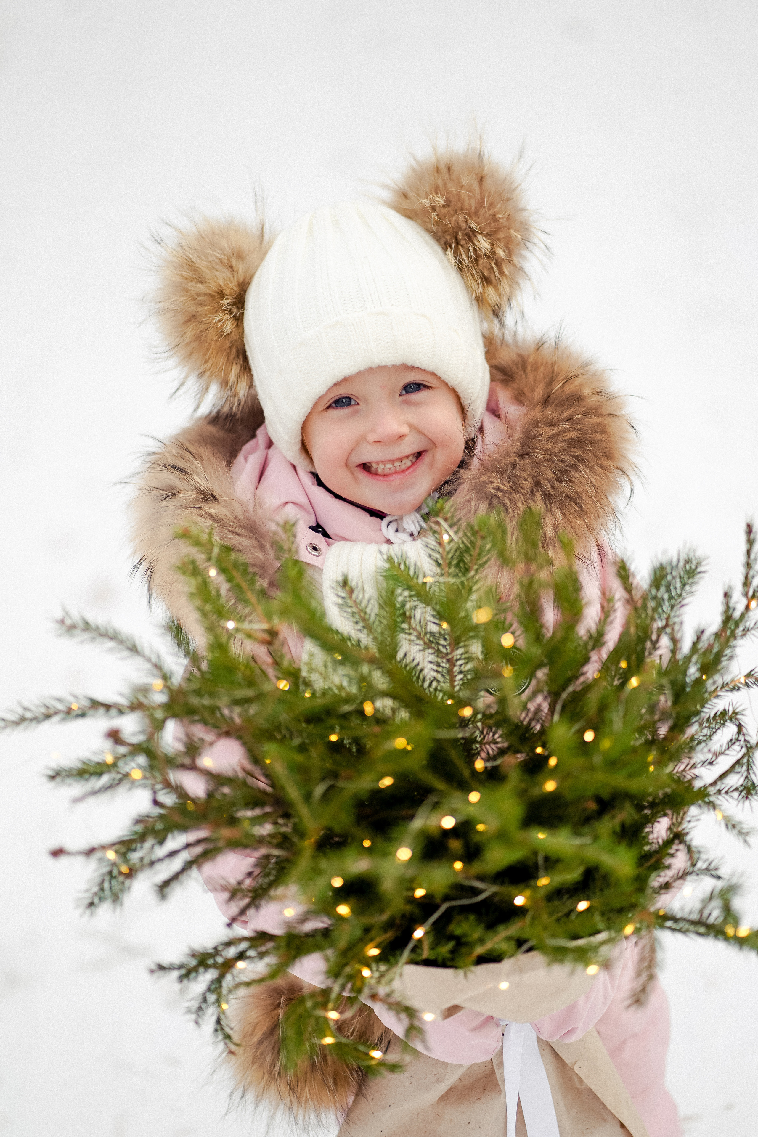 Сосновый бор