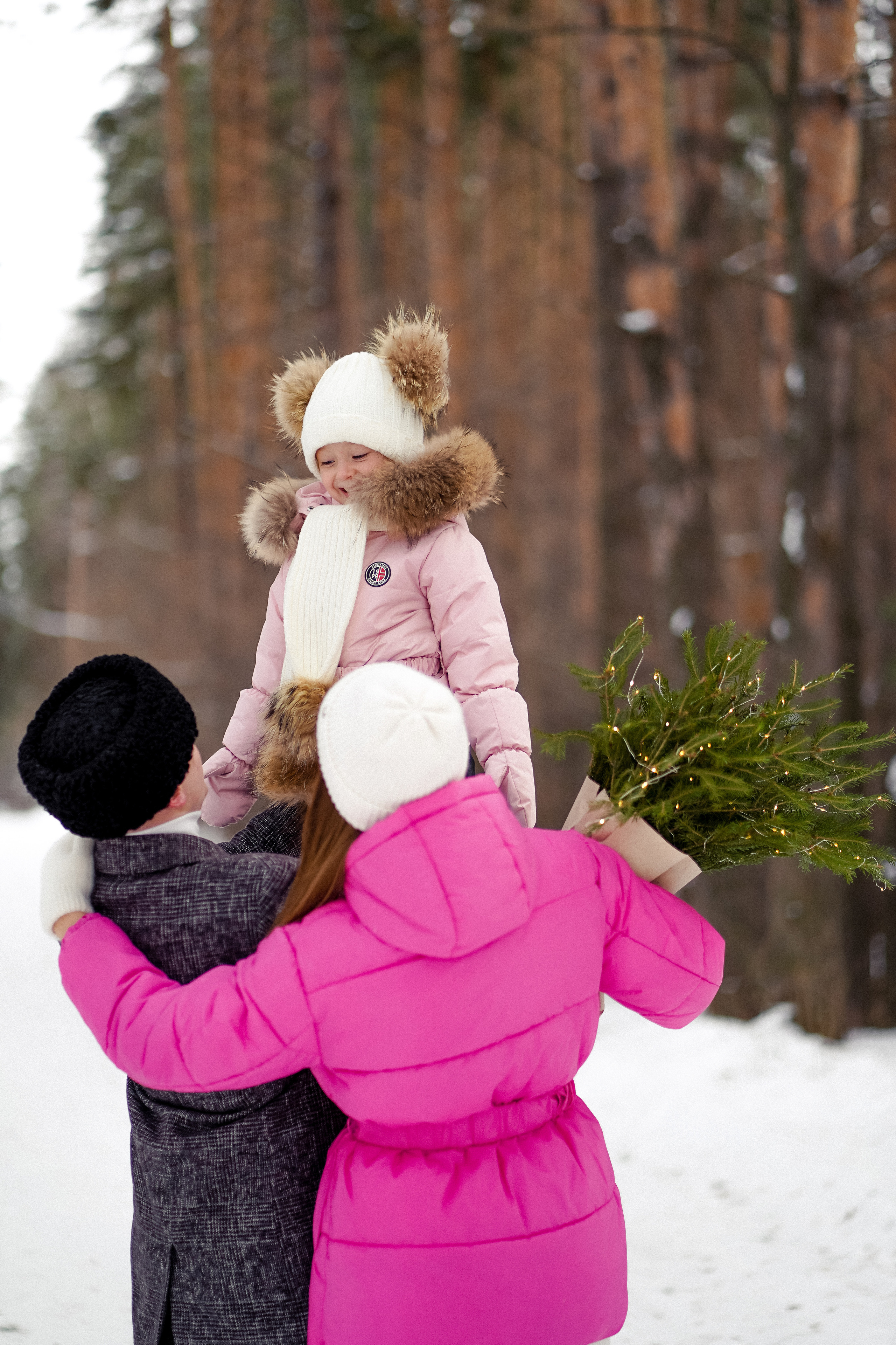 Сосновый бор