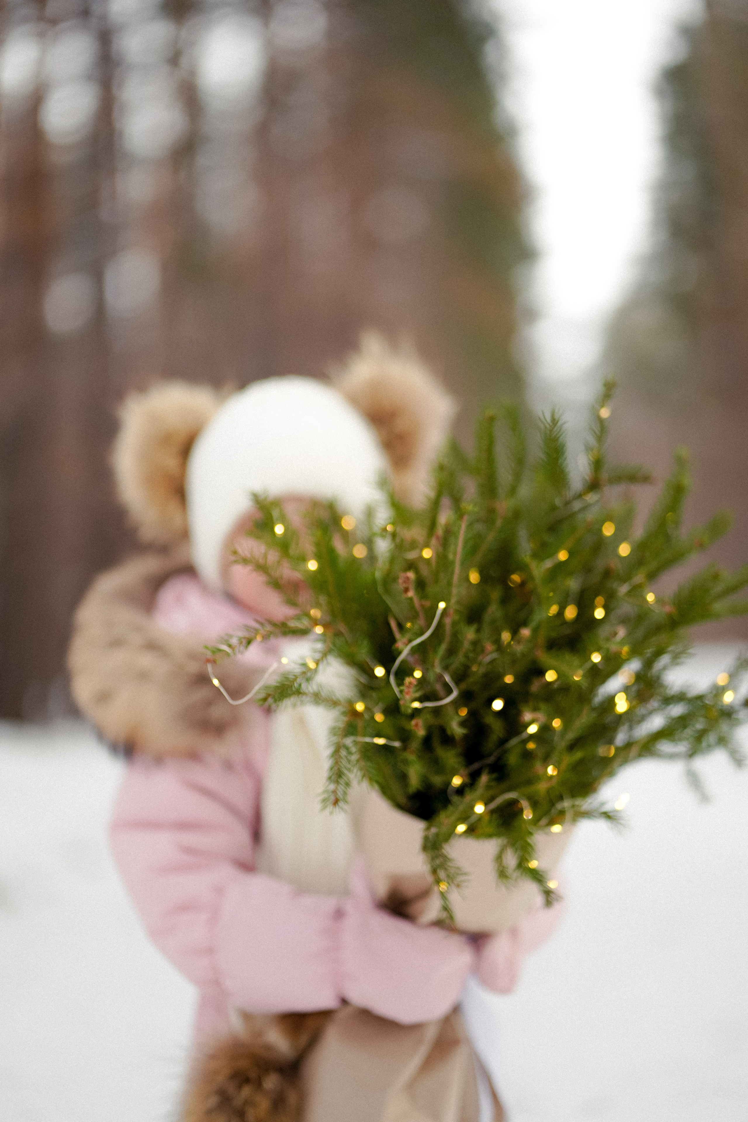 Сосновый бор