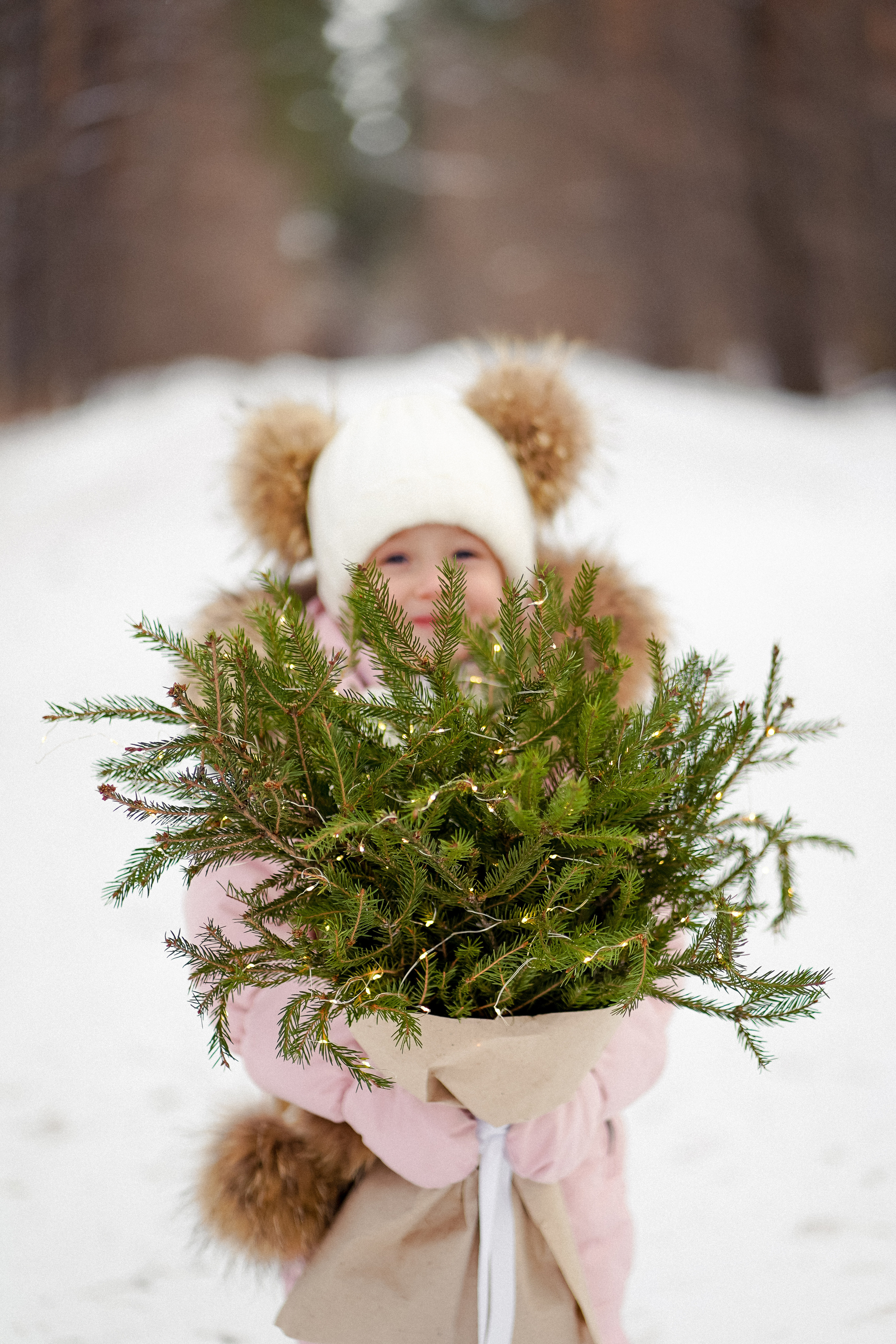 Сосновый бор