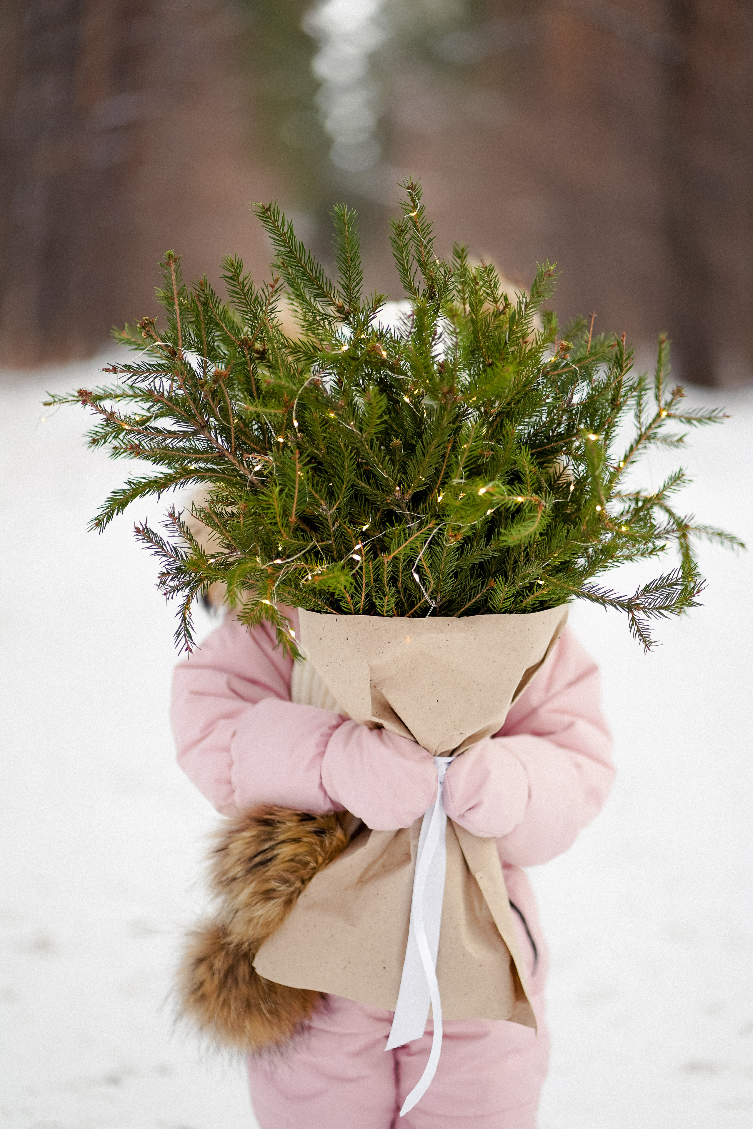 Сосновый бор