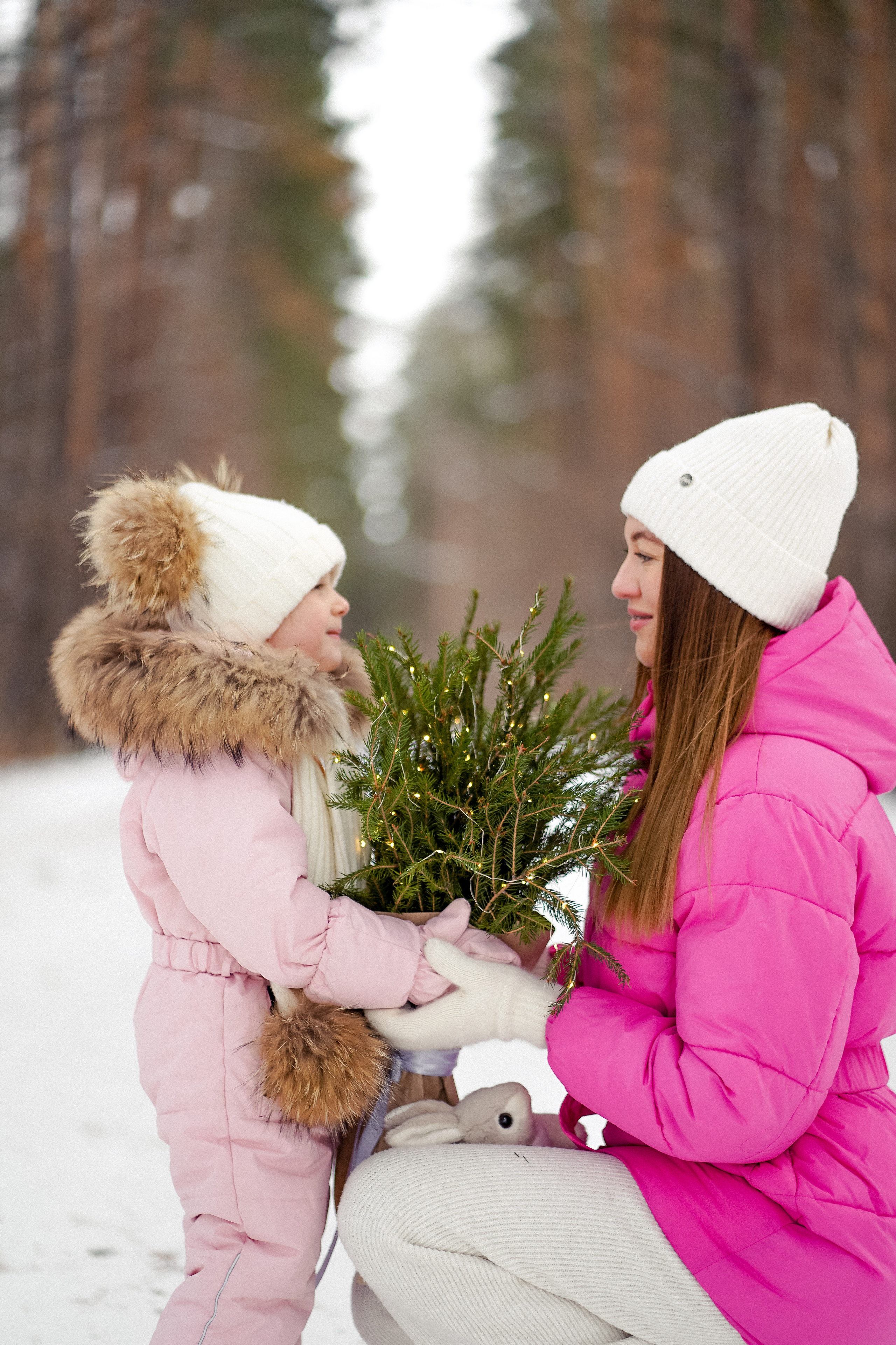 Сосновый бор