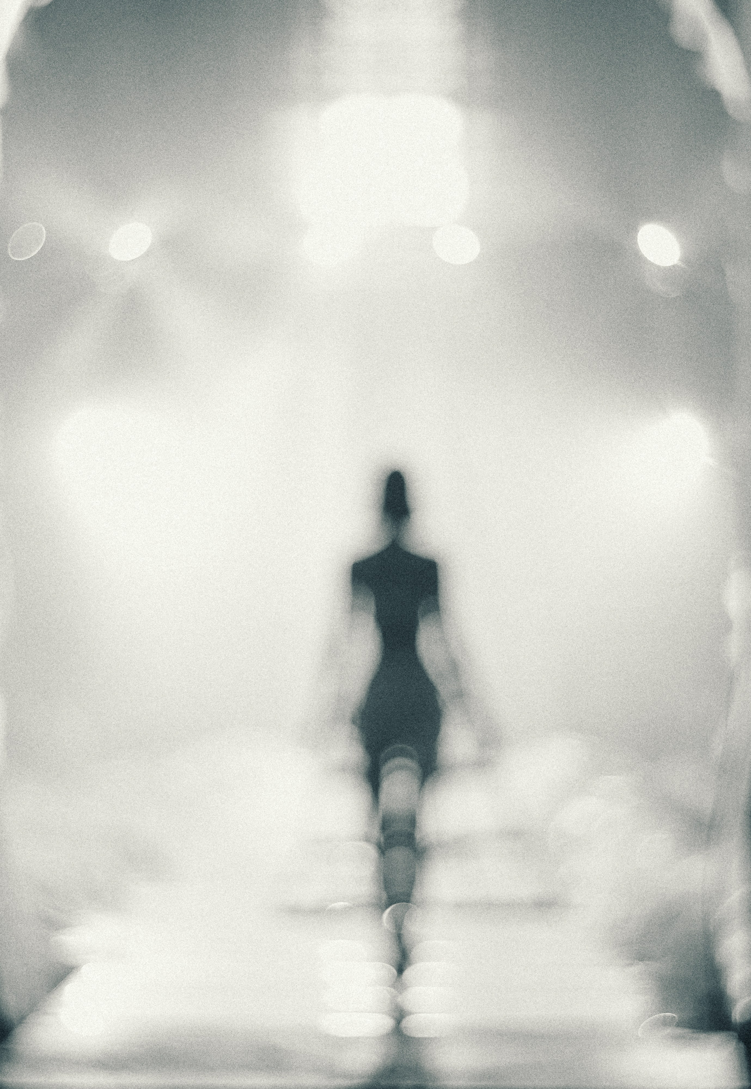 Rara Avis Fashion Show 2026. Fusion Wedding Photographer