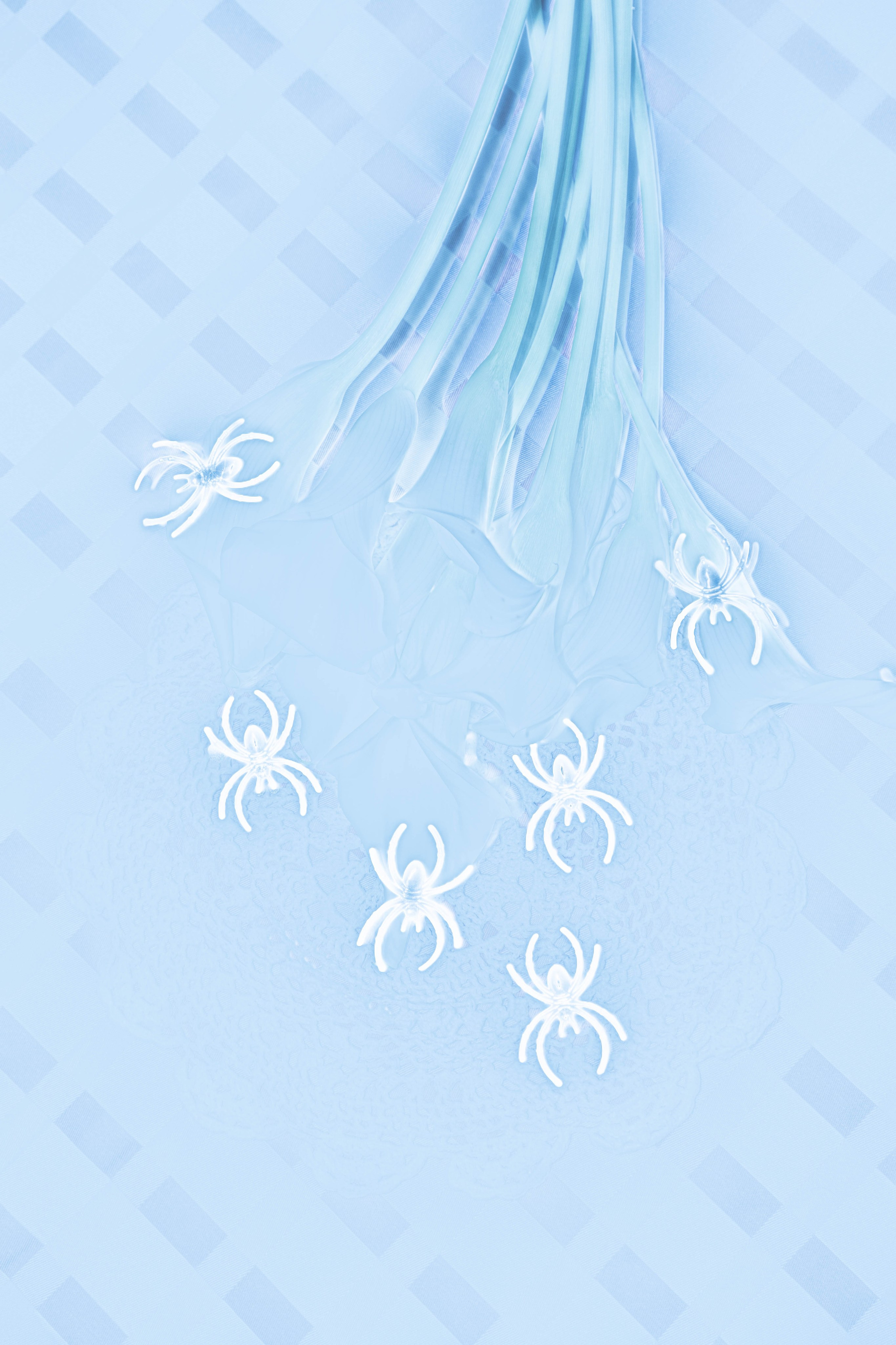 ПРИНТЫ. Виктория Князева| фотограф из Санкт-Петербурга