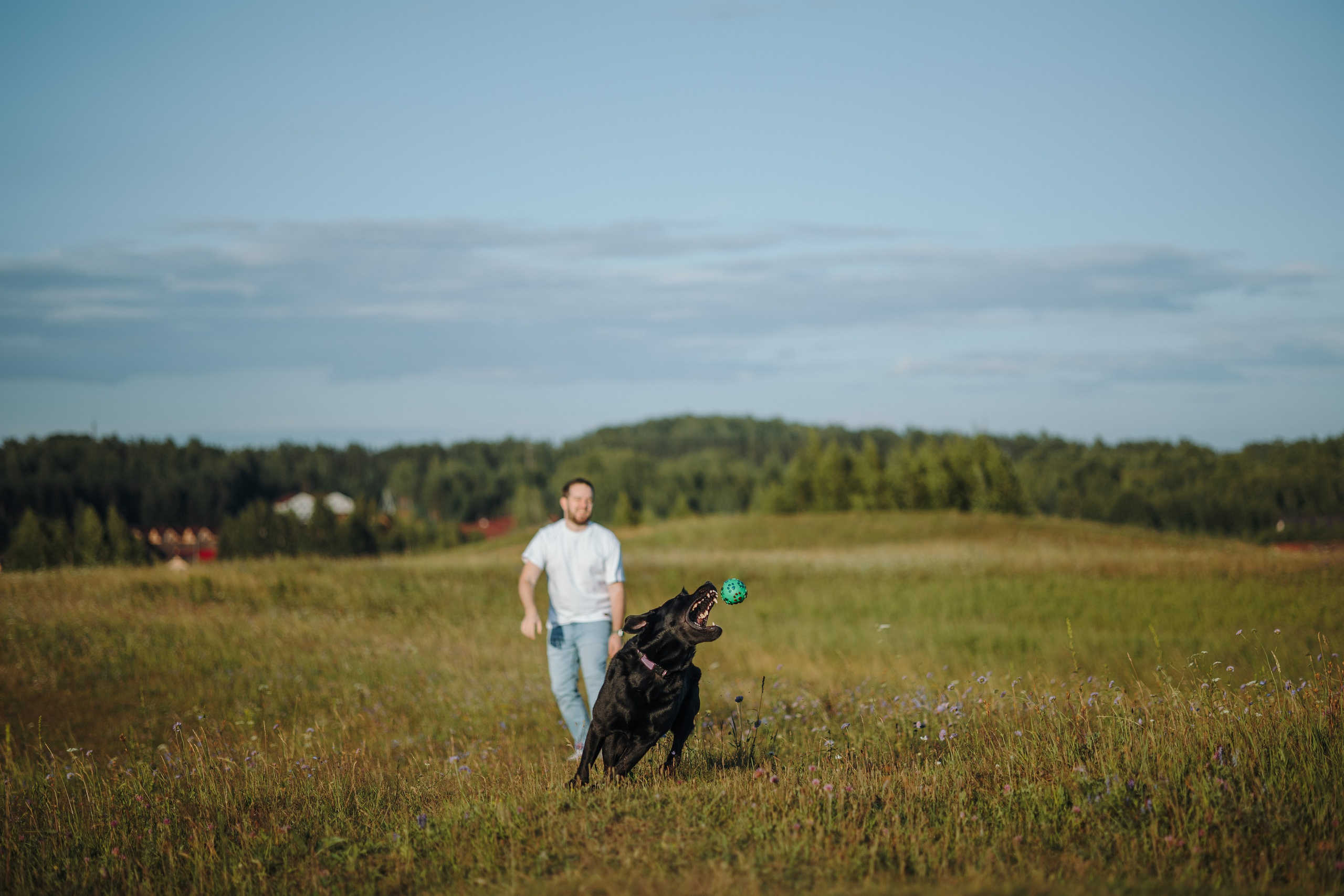 Бомбей и его семья. Фотограф — Анималист | Санкт-Петербург