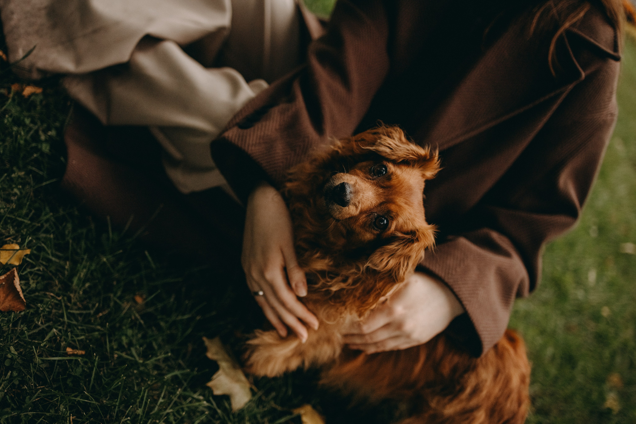 Жу и ее семья. Фотограф — Анималист | Санкт-Петербург