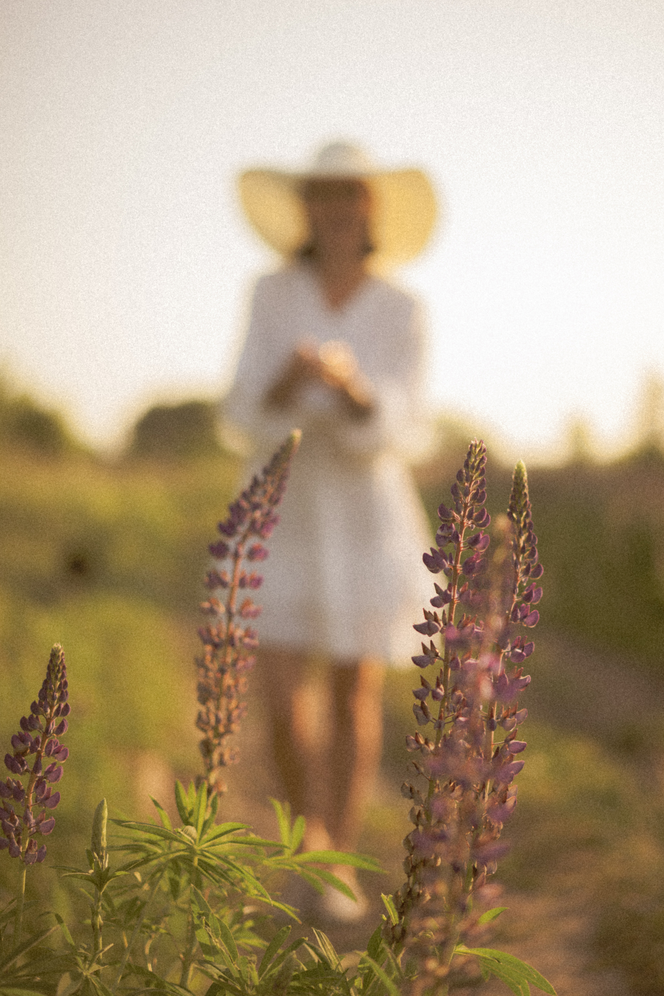 Фотосессия в люпинрах. Лиза Фирстова — самый добрый фотограф