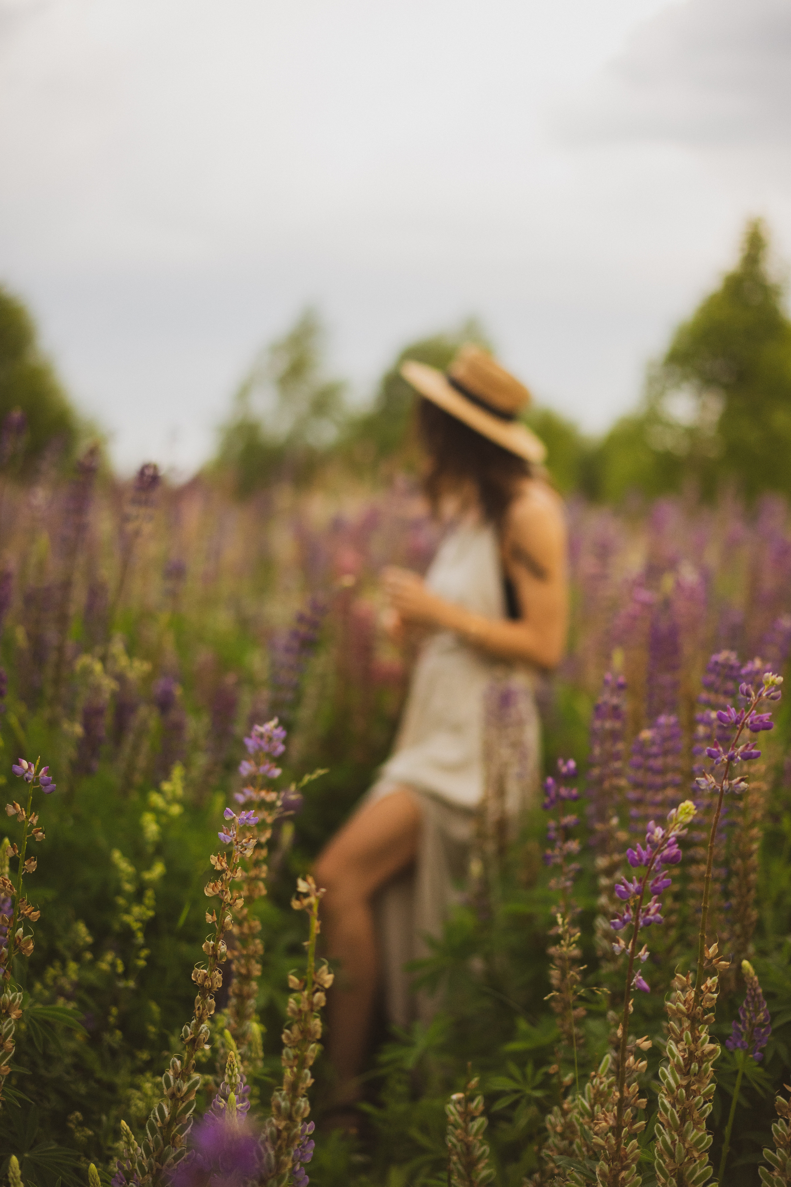 Фотосессия в люпинрах. Лиза Фирстова — самый добрый фотограф
