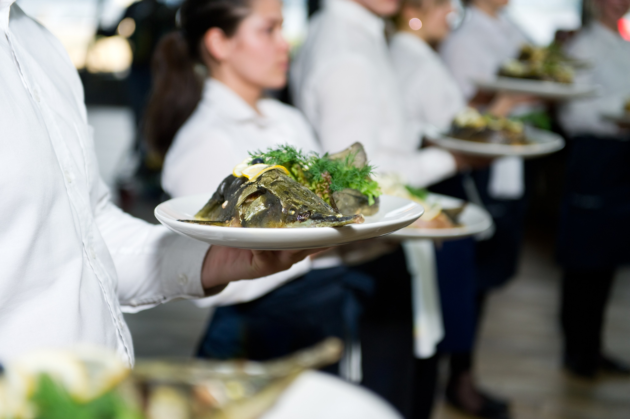 Свадьба Ашота и Ларисы. Репортажный фотограф и видеограф Слава Думчев. Тимбилдинги, отчетники, корпоративы