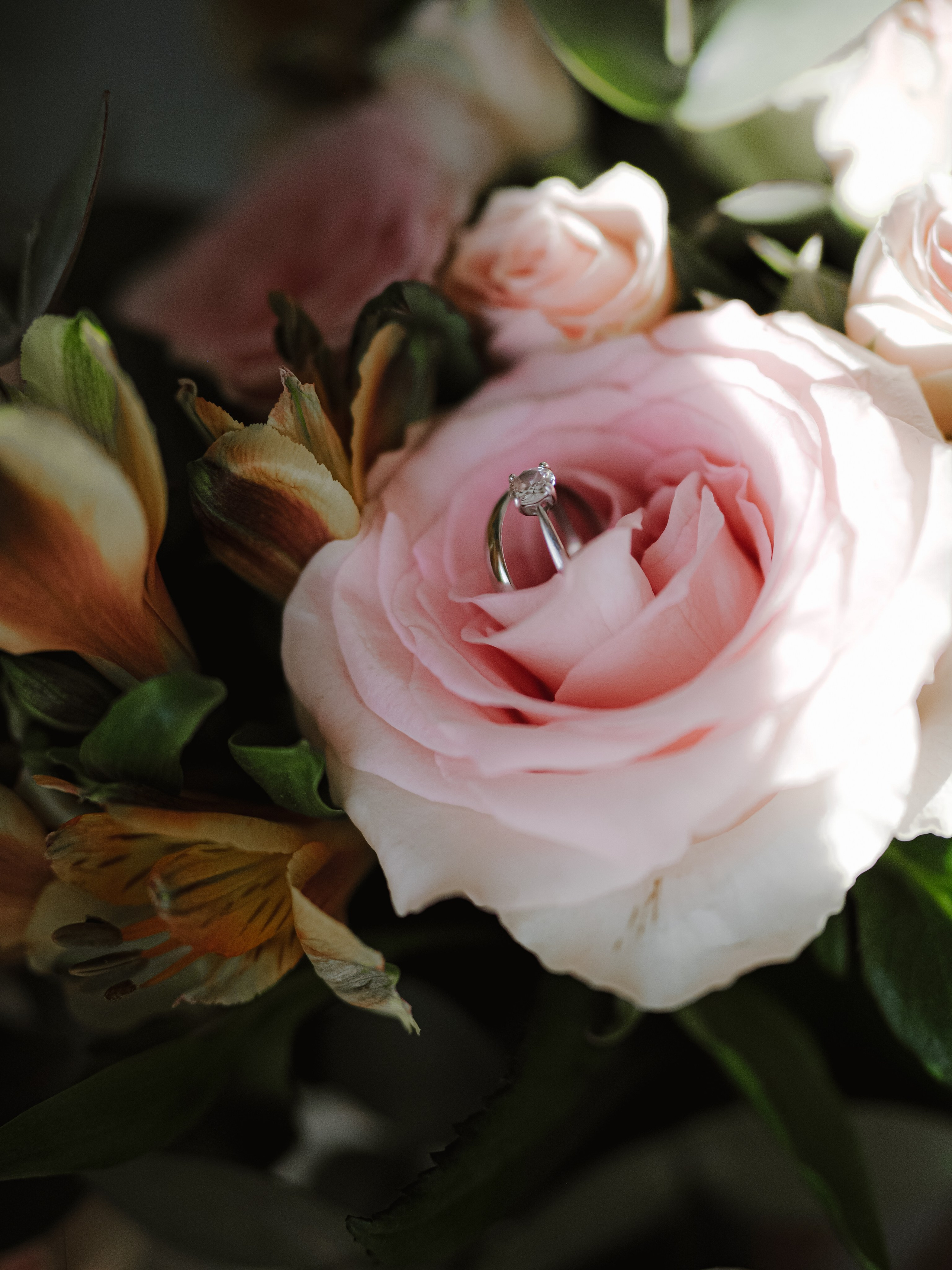 Карина и Илья. Фотограф Рязань. Семейный Свадебный фотограф