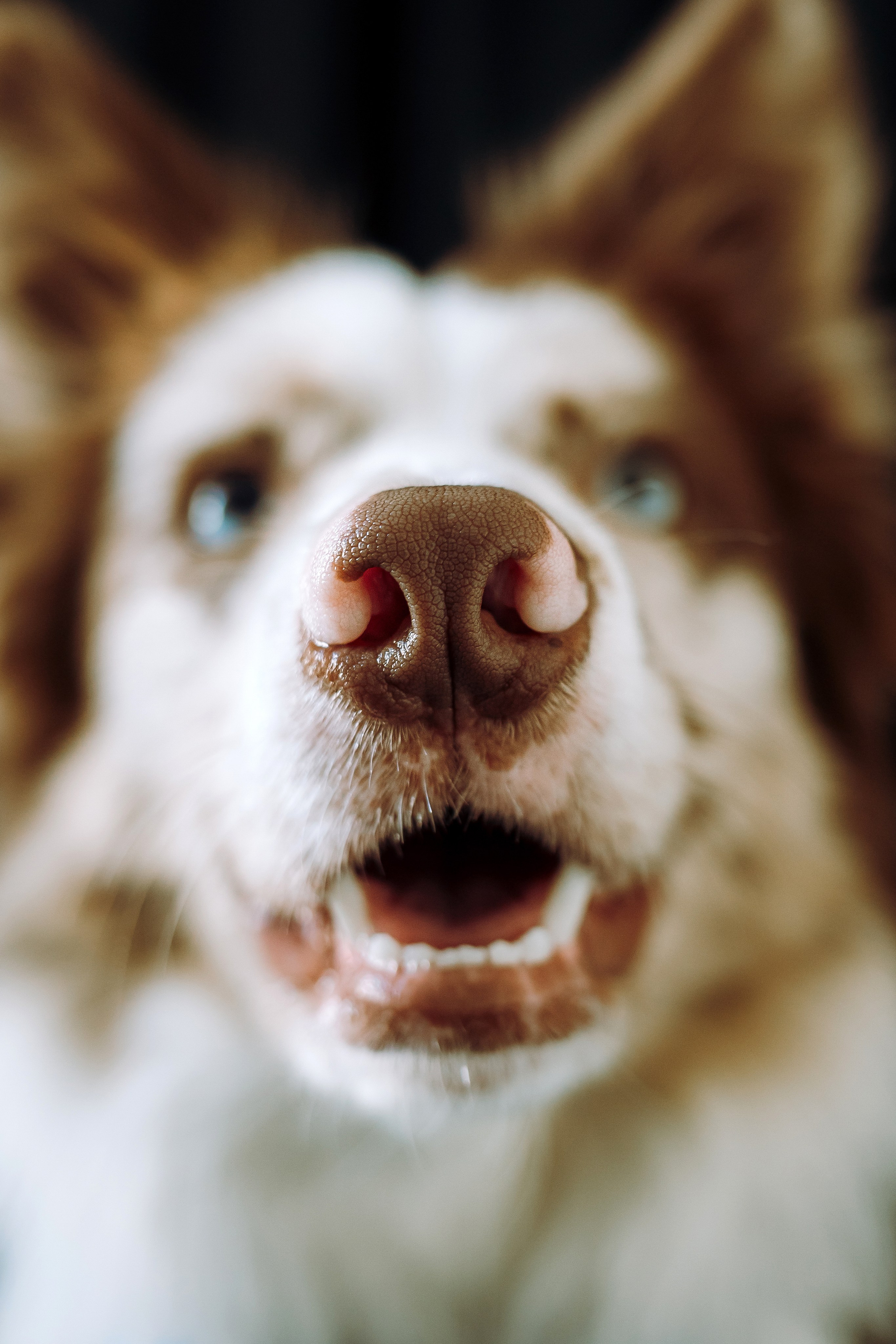 День рождения Айко