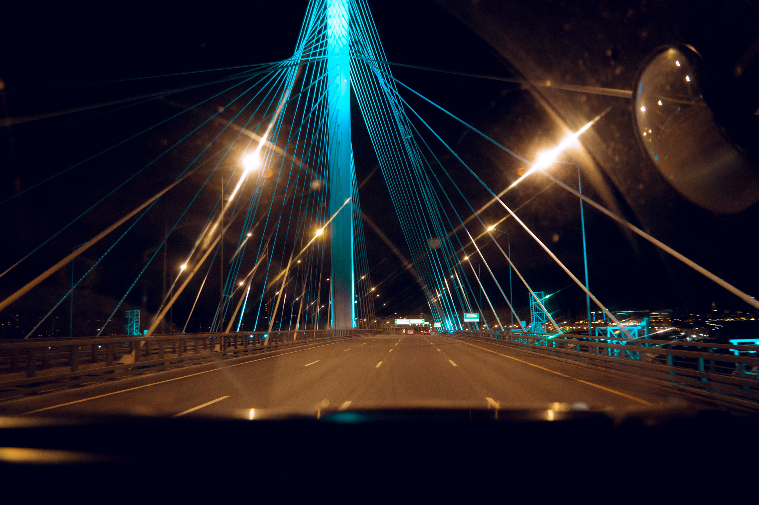 Из наблюдений. Плак или Квак