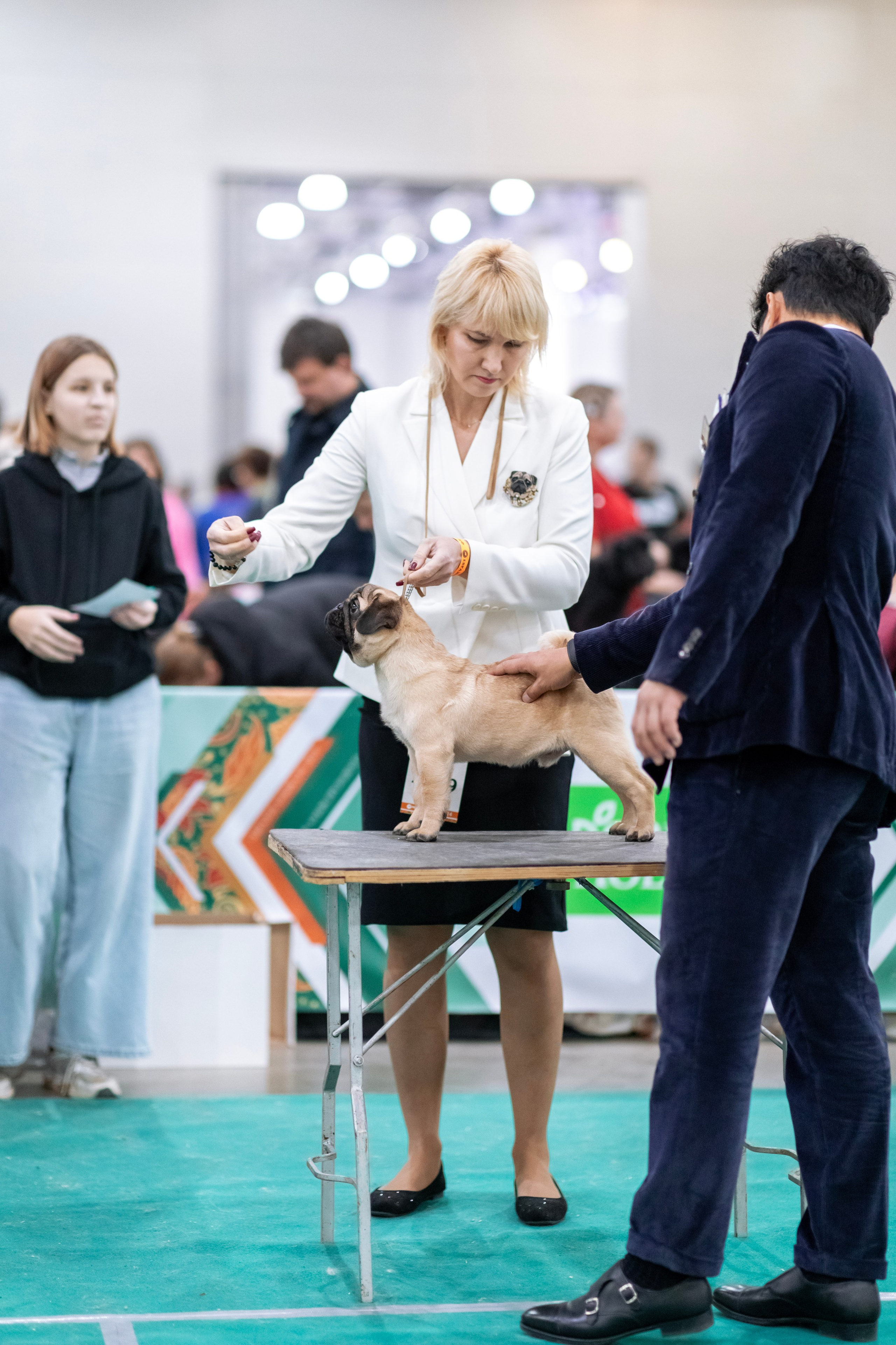 Евразия. Фотограф — анималист Татьяна Ли