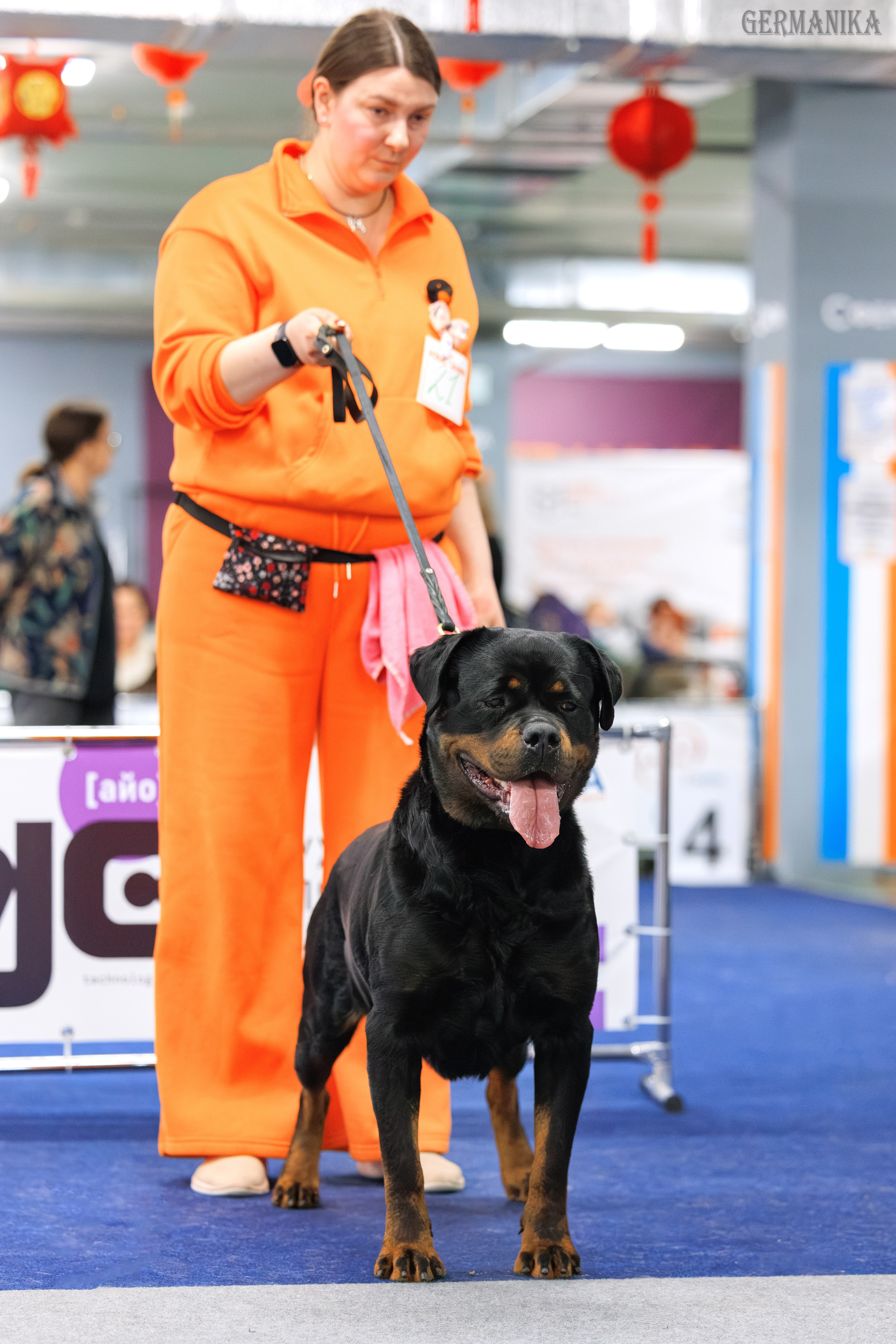 Сфера 08 и 10.03.2024 2хмоно ротвейлеров+2хмоно сао. Фотограф-анималист Юлия Германика