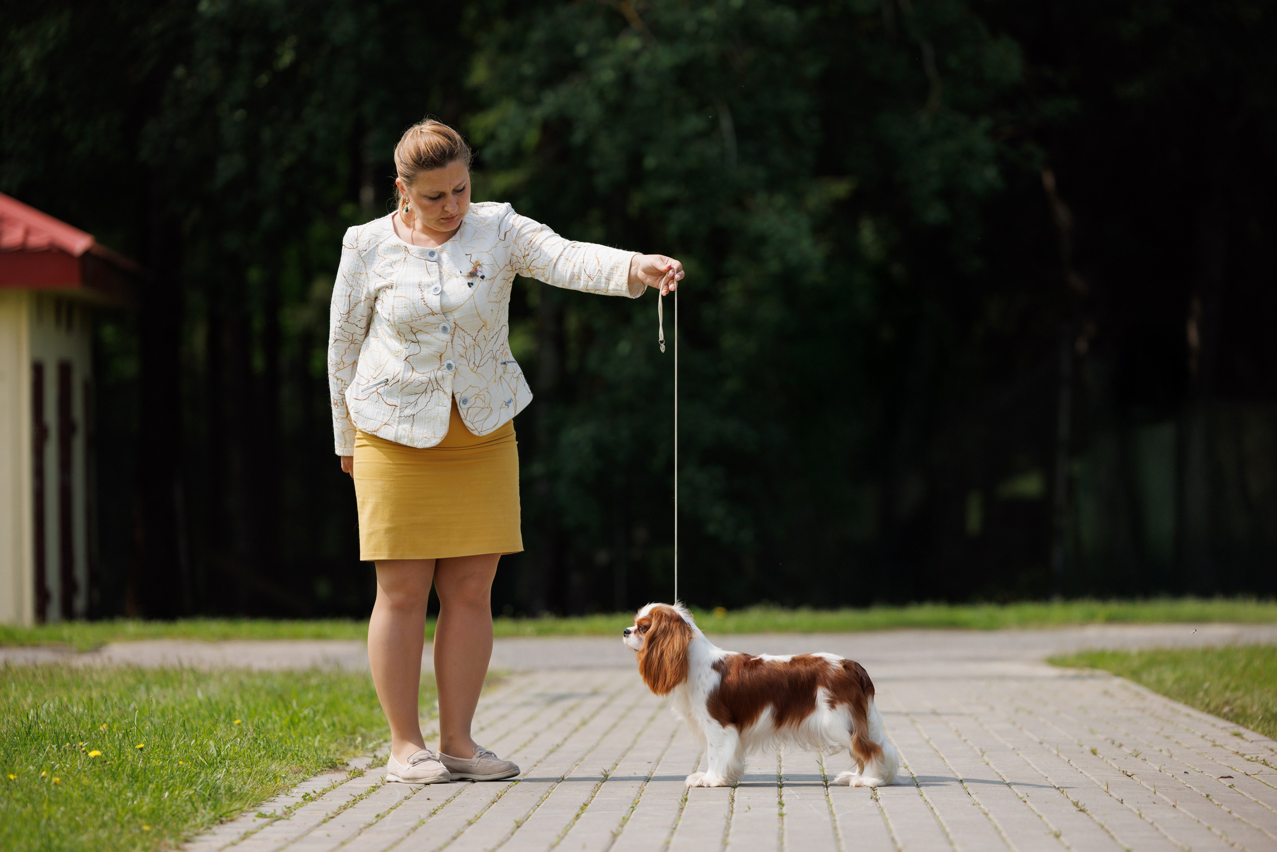 Минск 31.05-1.06.2025. Фотограф-анималист Юлия Германика