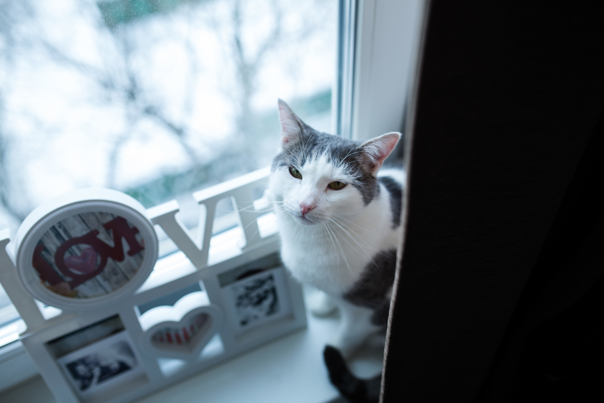 Юрий и Анна. Wedding photographer Kiryanov Maxim. I take photos in Moscow, Kolomna,