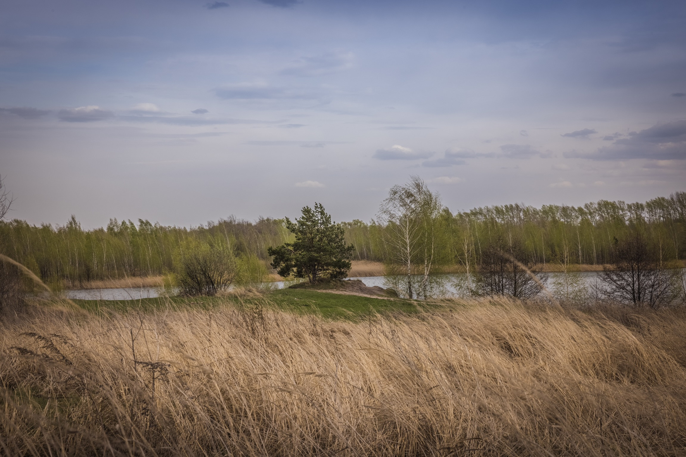 Узловский район Тульской области. Фотограф Андрей Басов