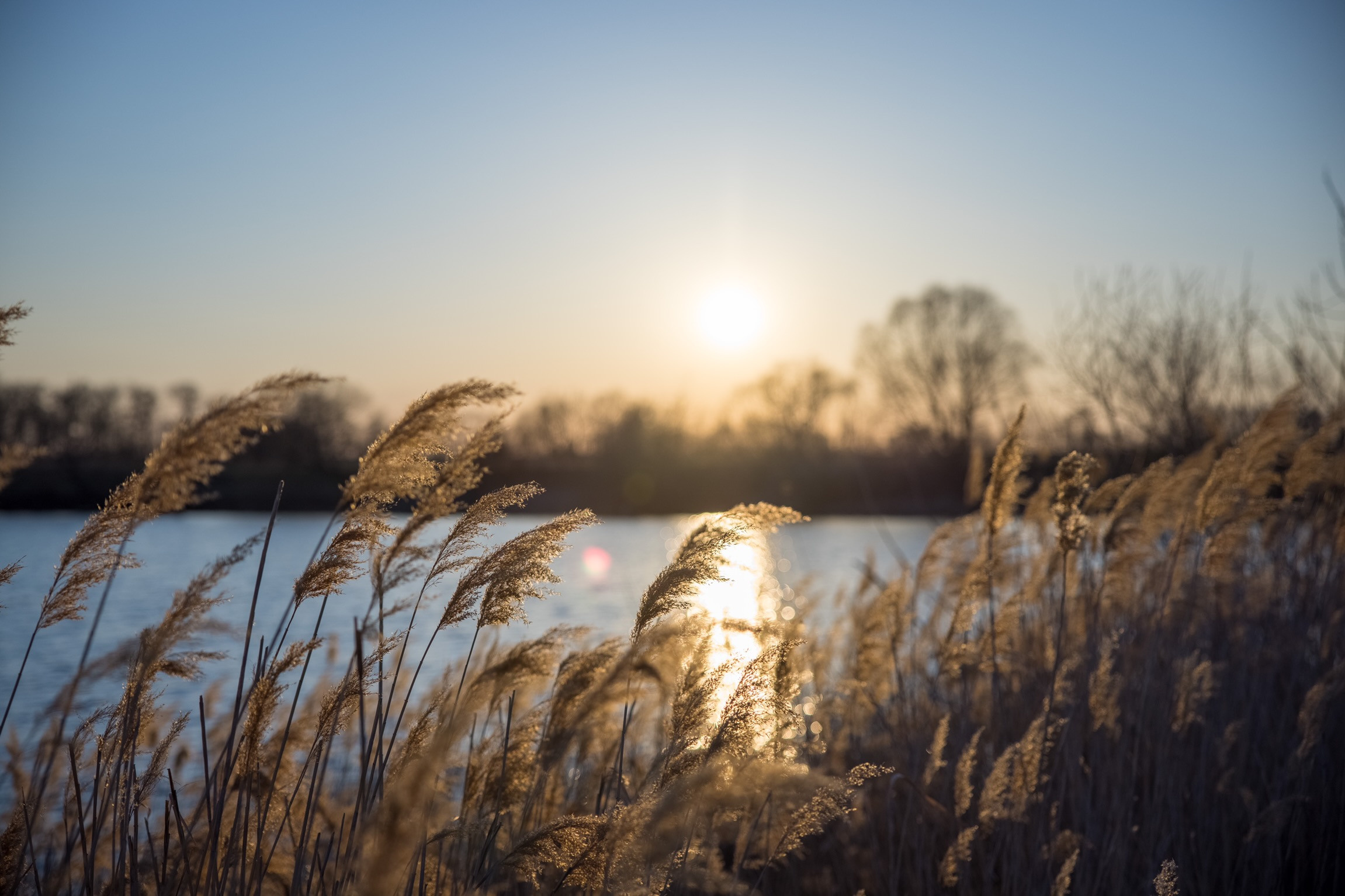 Пруд "Третья плотина" в Эртильском районе Воронежской области. Фотограф Андрей Басов