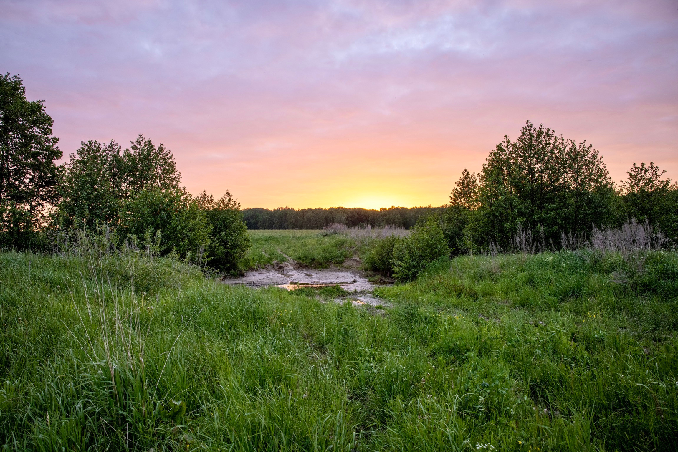 Река Внучка в Шуйском районе Ивановской области