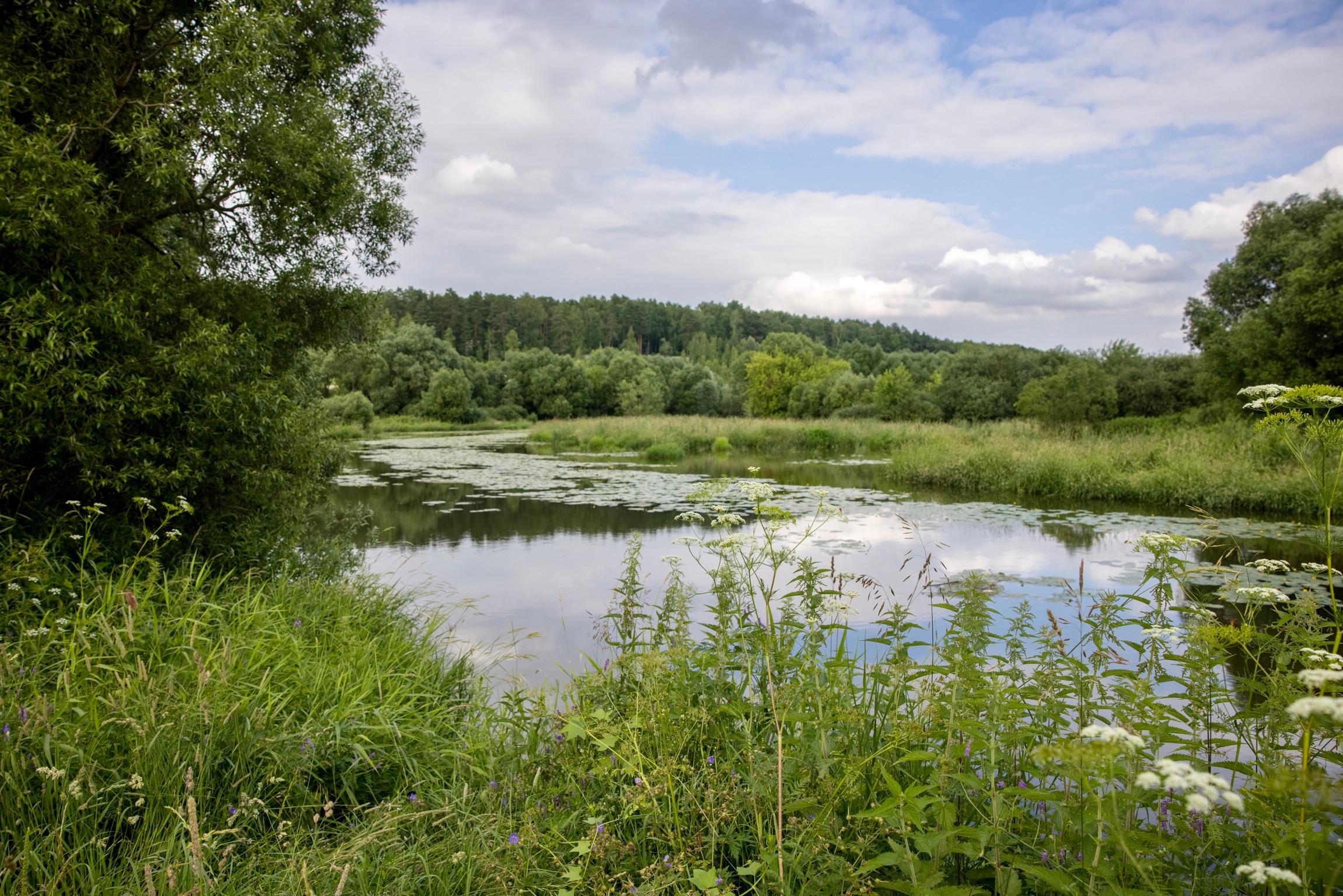 Река Пахра - правый приток Москвы-реки. Длина составляет 135 км