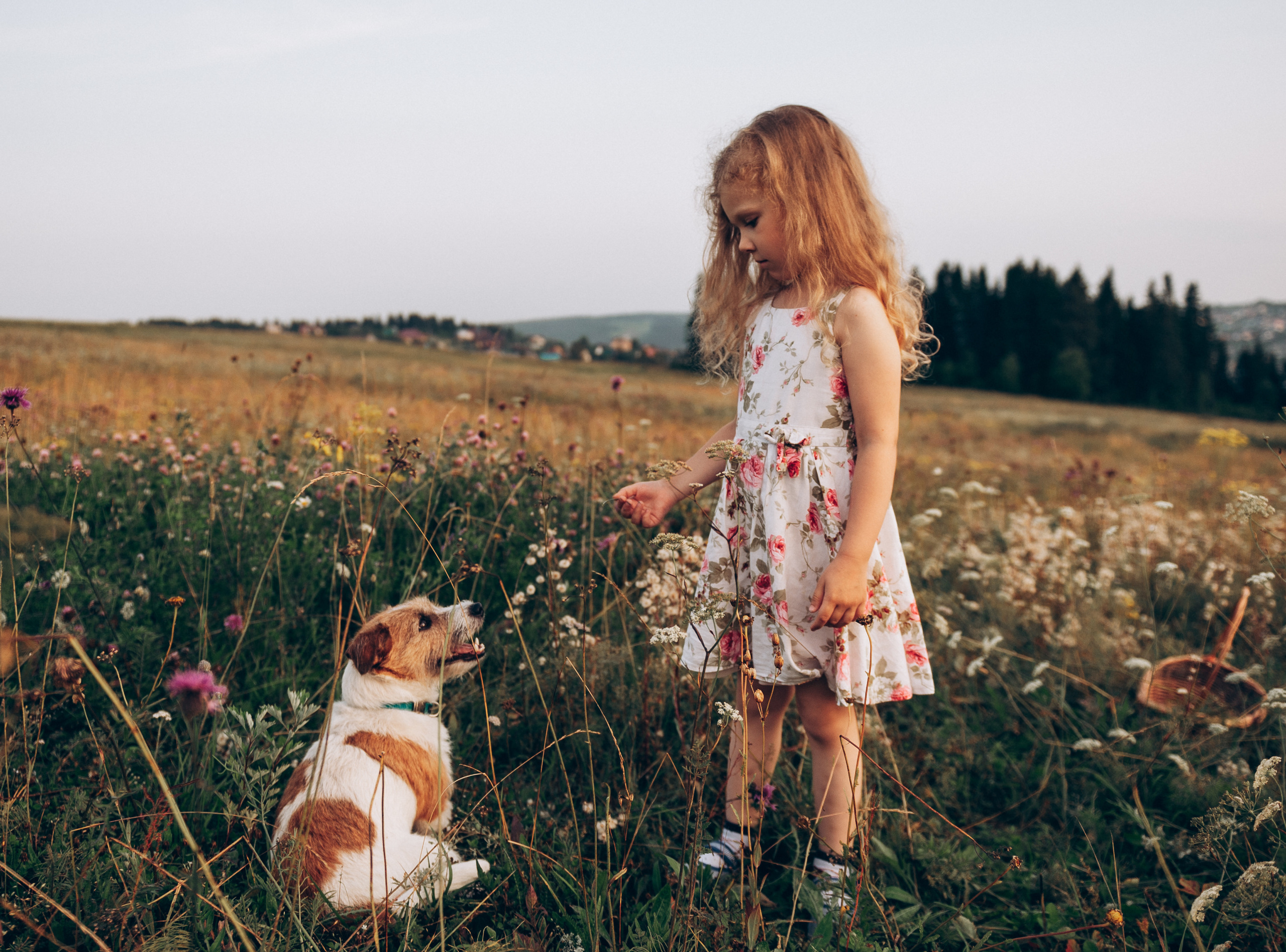 ПТАХА ДАХА. ФОТОГРАФ В МОСКВЕ ВИКТОРИЯ ИВАЩЕНКО