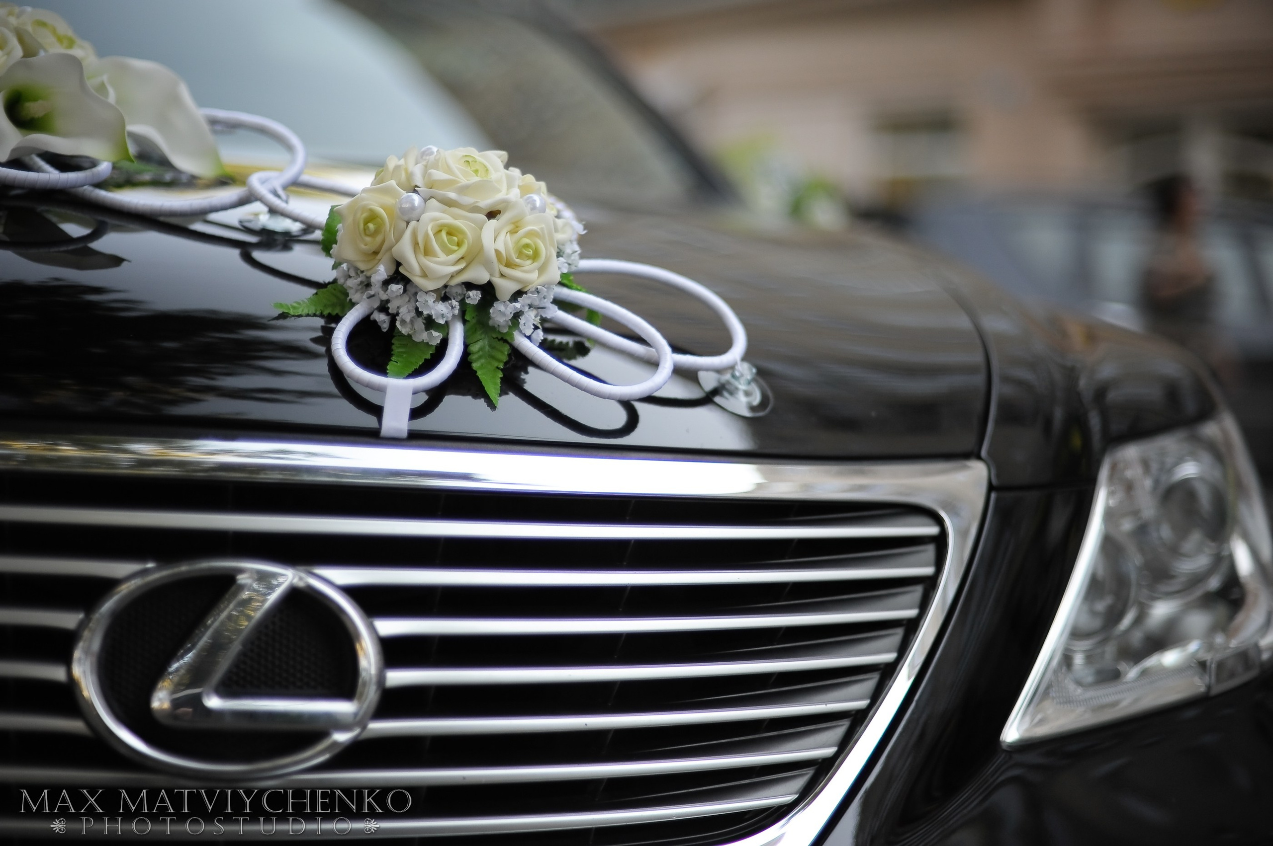 Регистрация/Register. Максим Матвийченко и Виктория Басова профессионалы своего дела