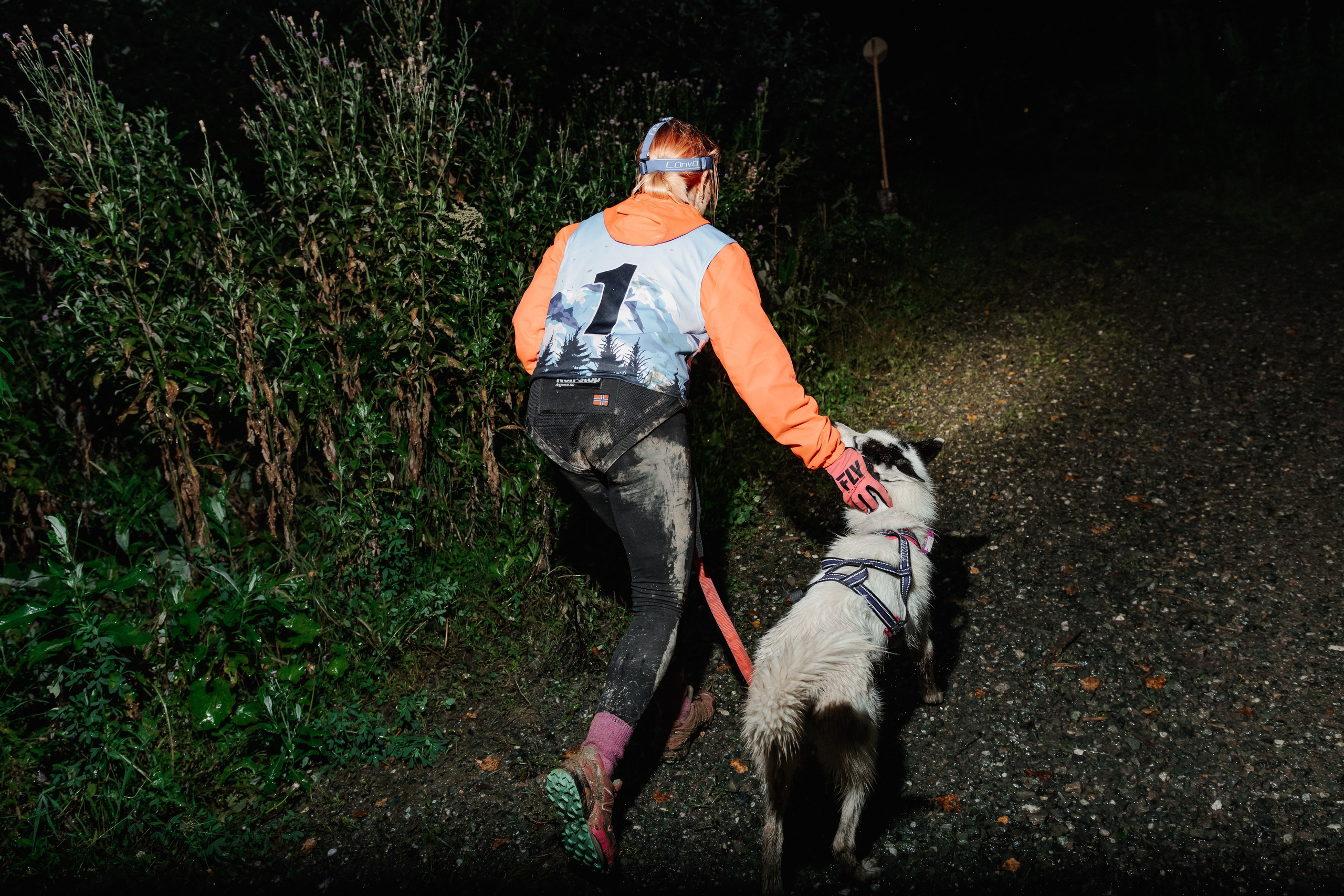 Дог-треккинг