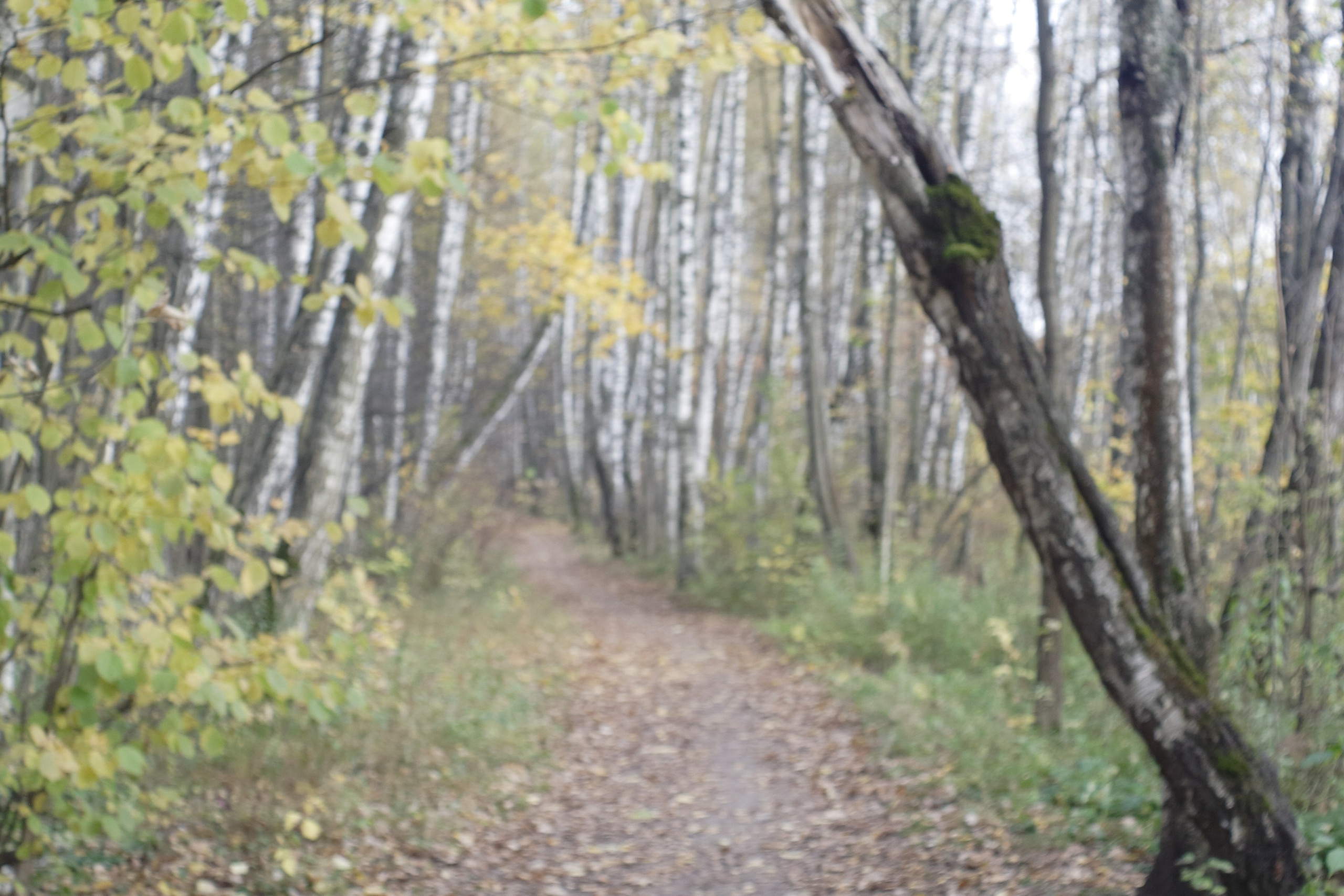 Старое природное, отбирала Katamount (Катерина Горохова). Главная