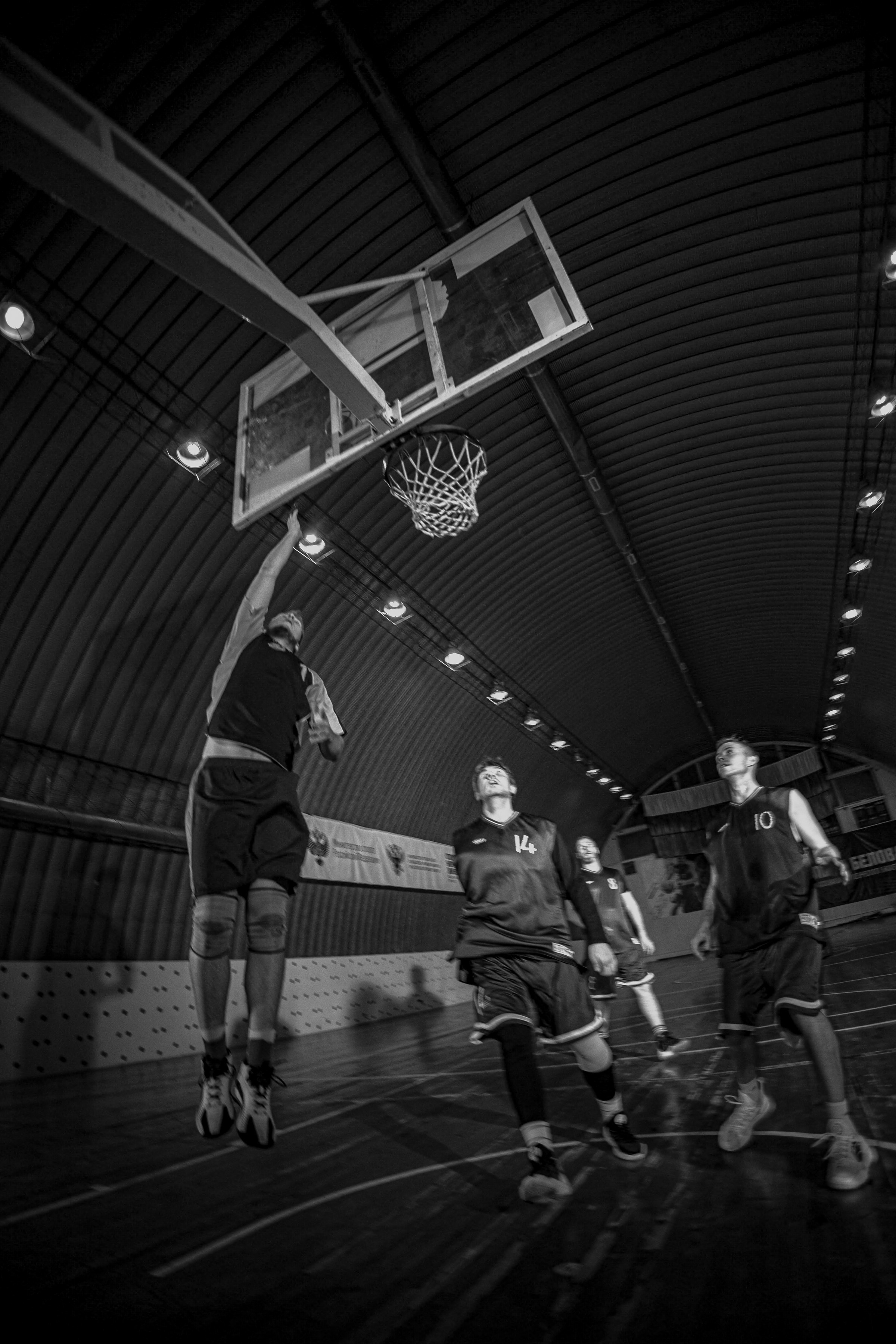 БК Сибиряки. Фотограф Князев Сергей